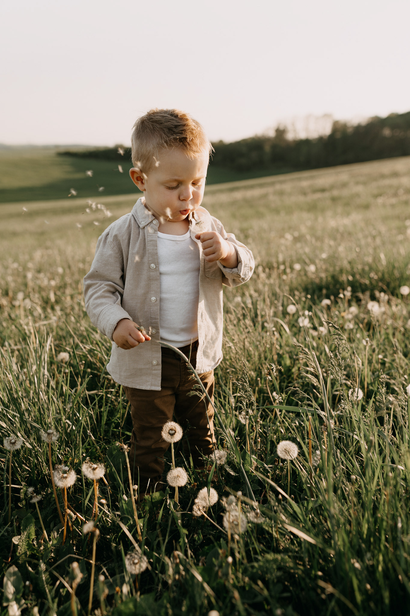 rodinné focení přerov, fotograf přerov, amber fotografka, zamilované focení, rodinné focení, fotograf olomouc