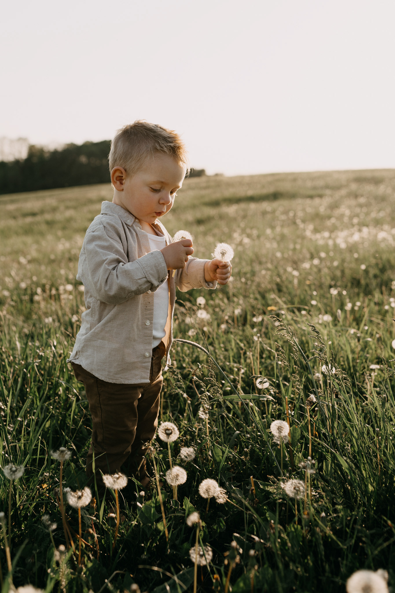rodinné focení přerov, fotograf přerov, amber fotografka, zamilované focení, rodinné focení, fotograf olomouc