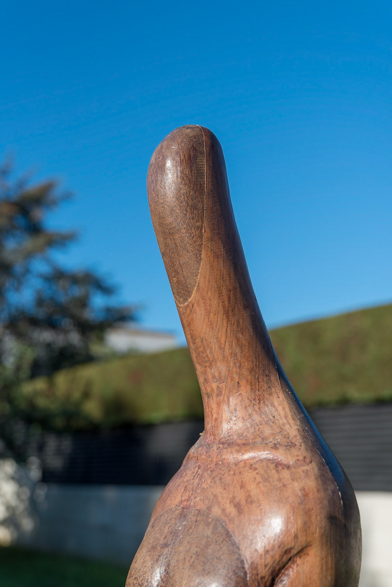 Escultures III Biennal (2022)