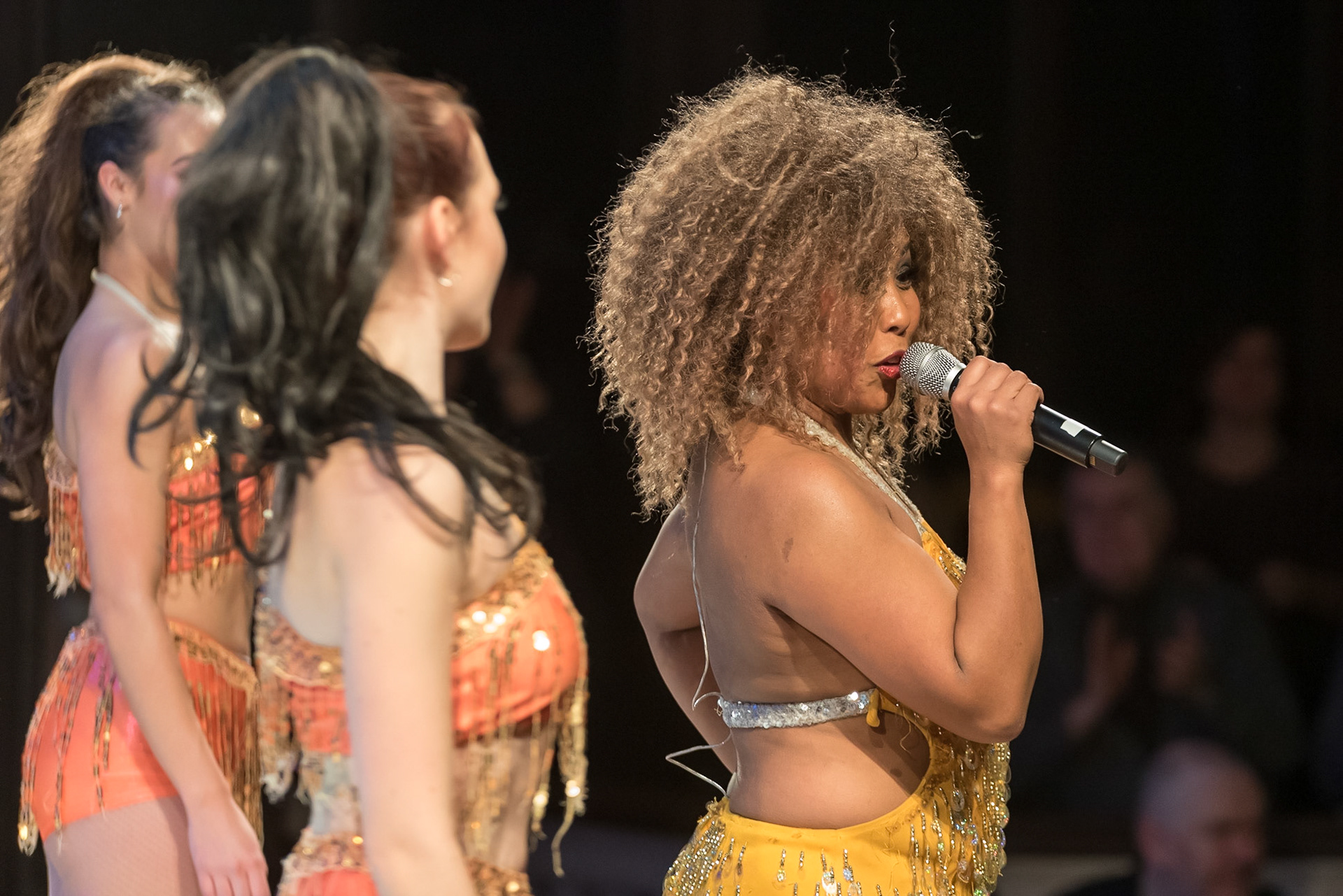 201901_Tina_Turner