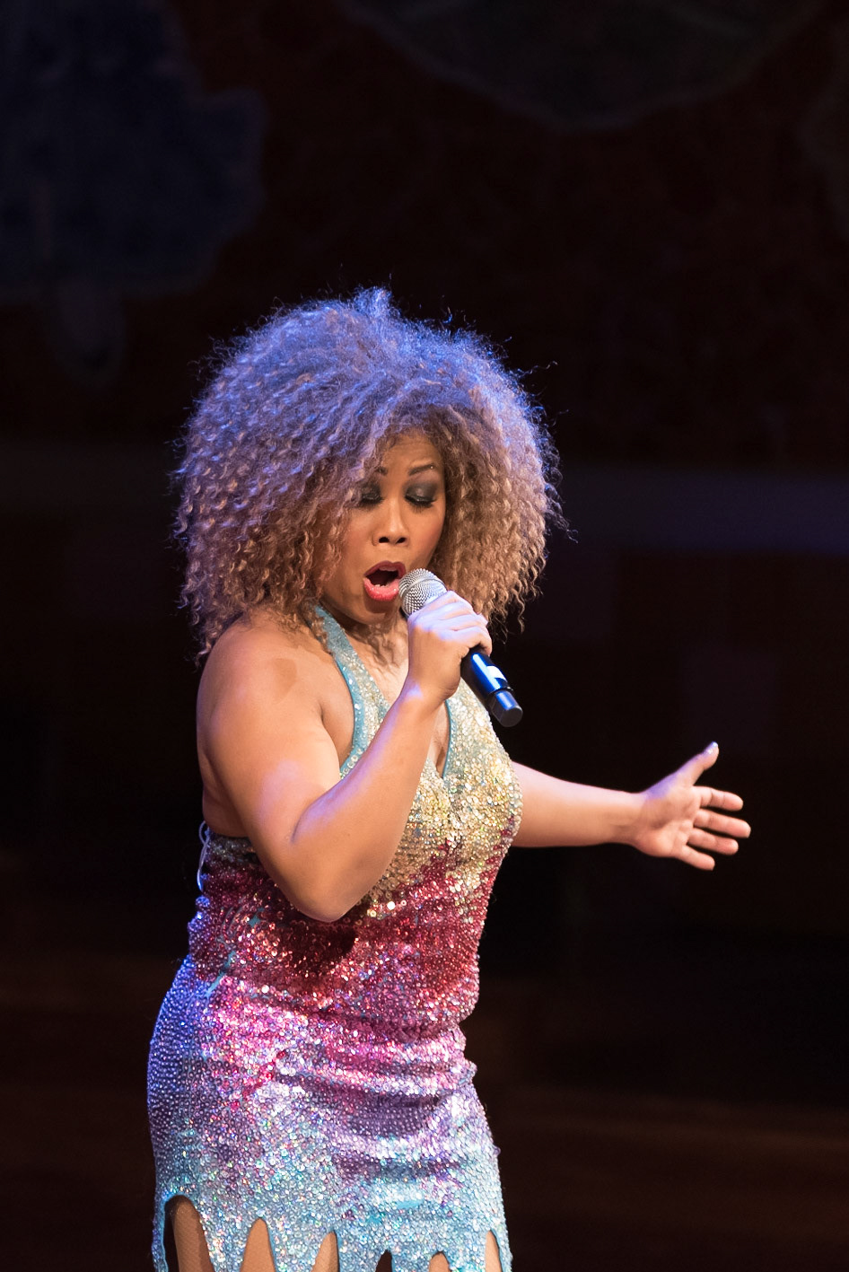 201901_Tina_Turner