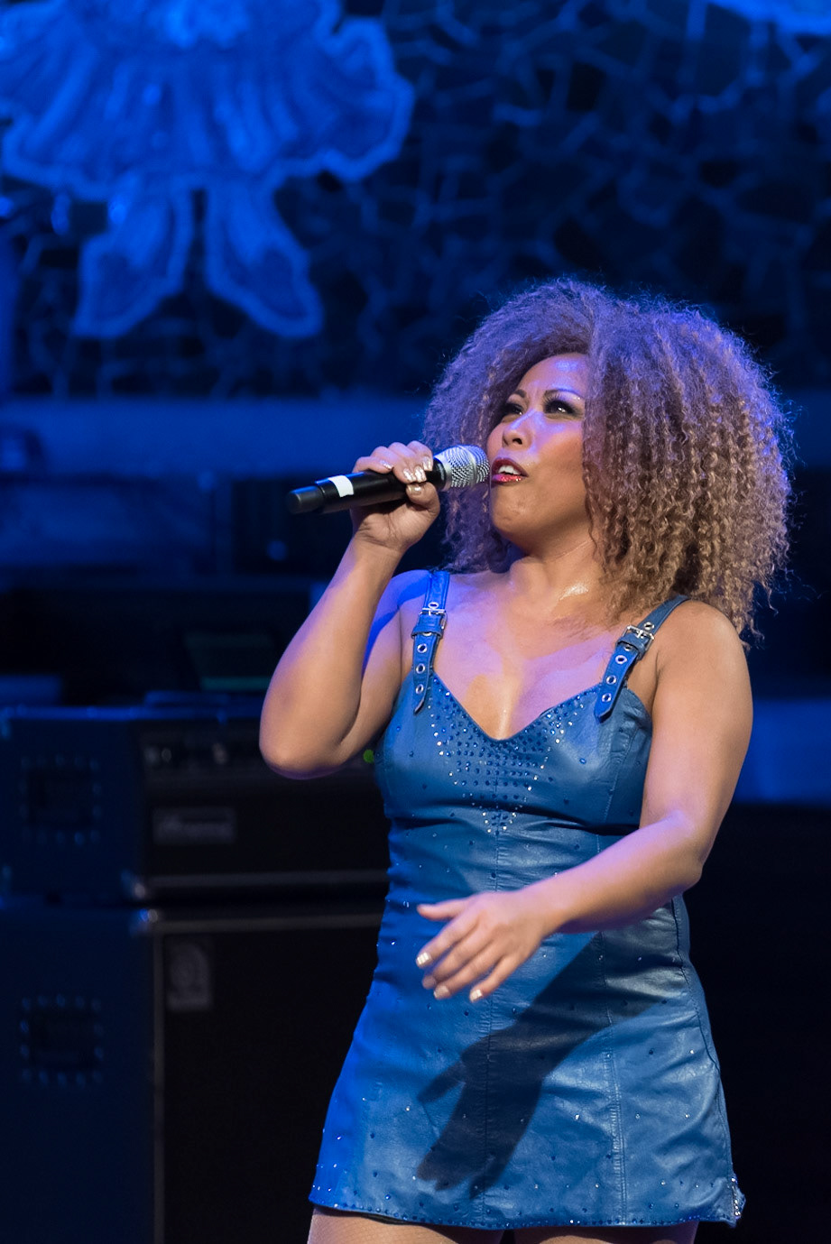 201901_Tina_Turner