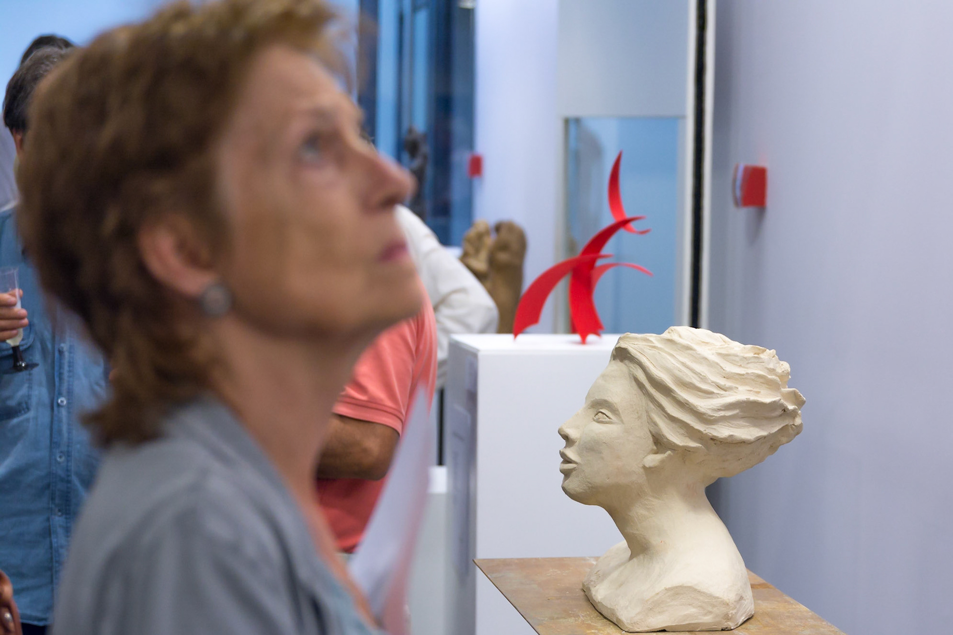 Escultors de Somnis 2017