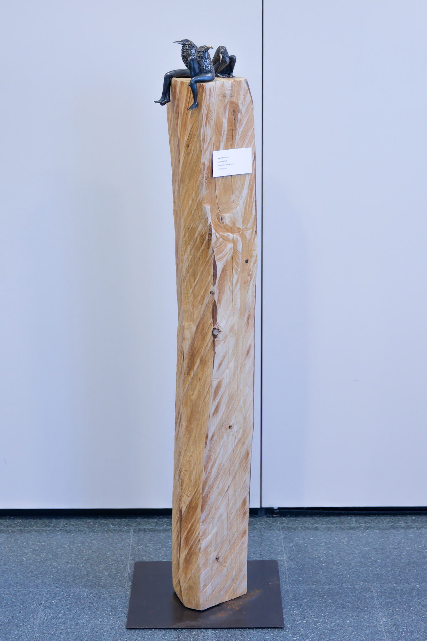 Escultors de Somnis 2017