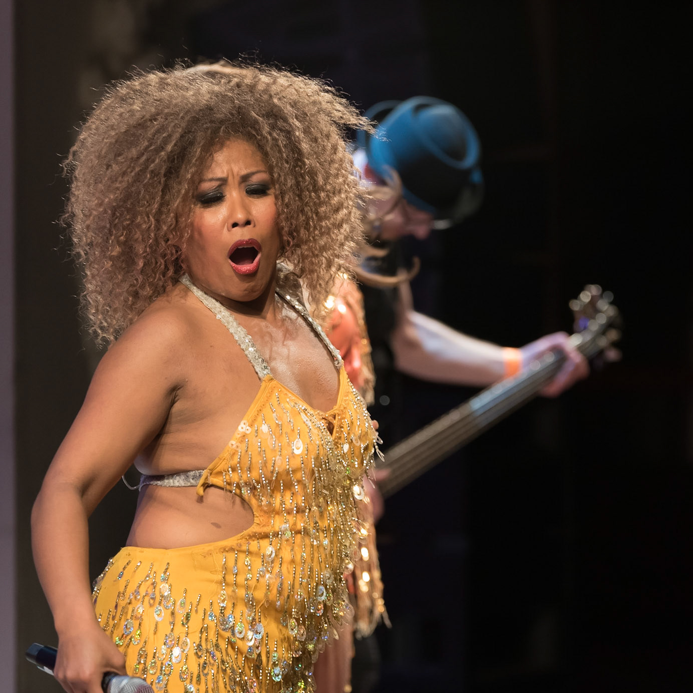 201901_Tina_Turner