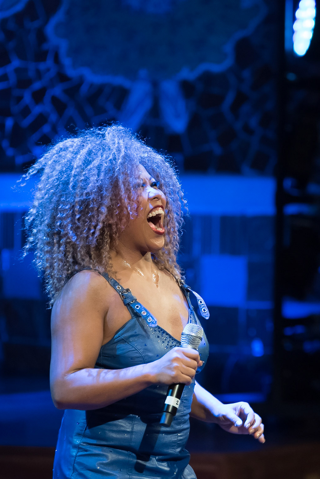 201901_Tina_Turner
