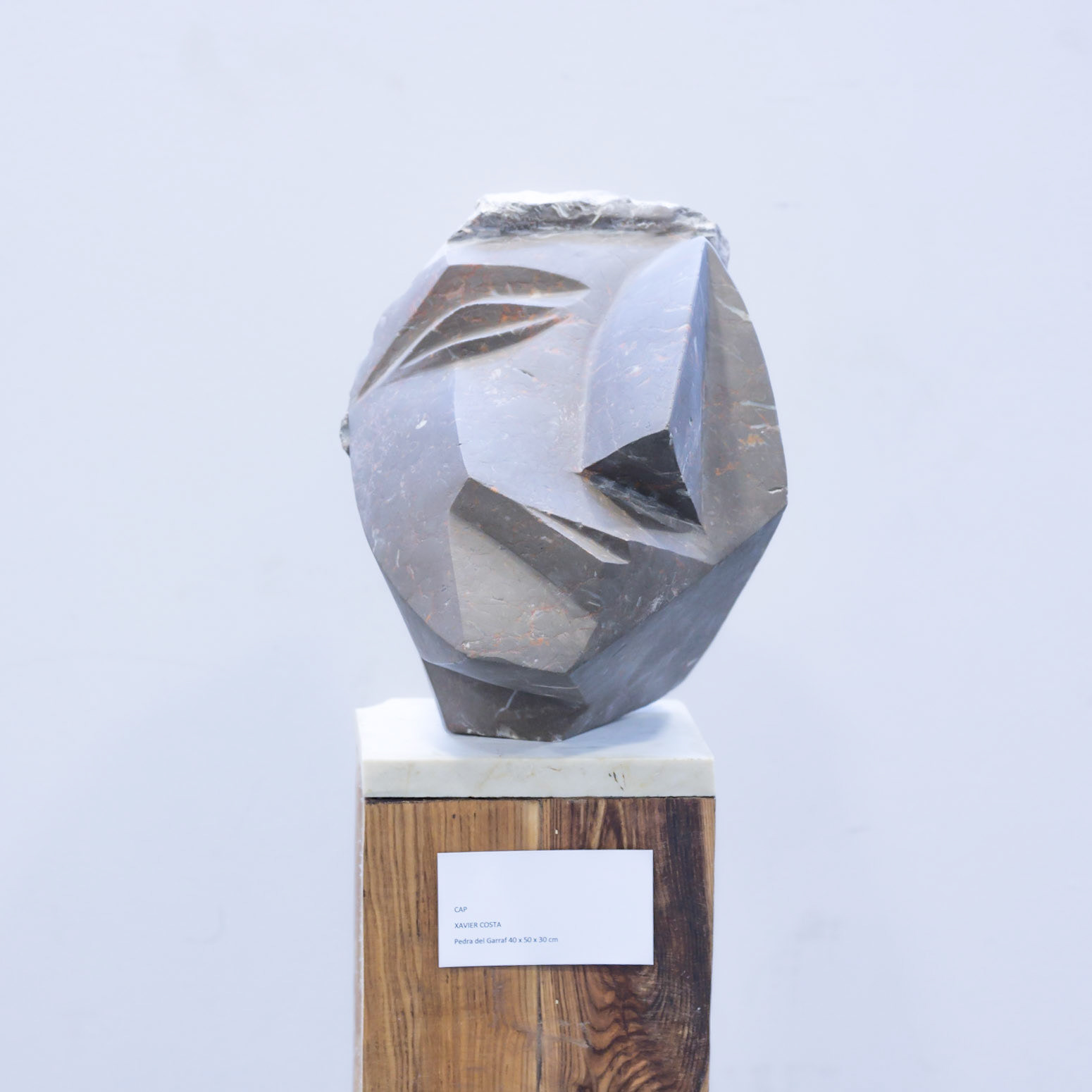 Escultors de Somnis 2017