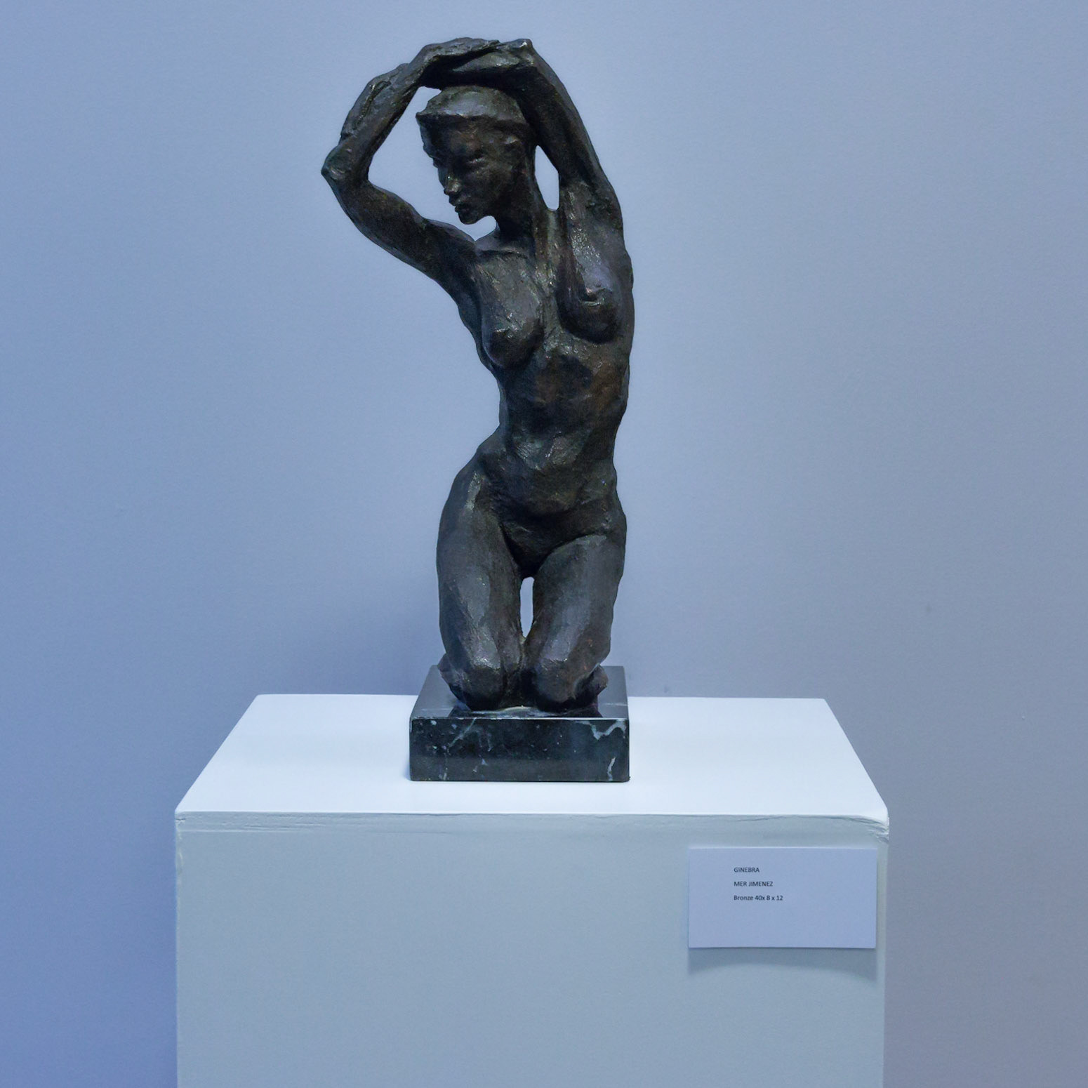 Escultors de Somnis 2017