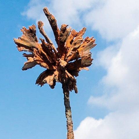 AMICART - 2018 - II Biennal d'Escultura Valldoreix dels Somnis (Escultures)