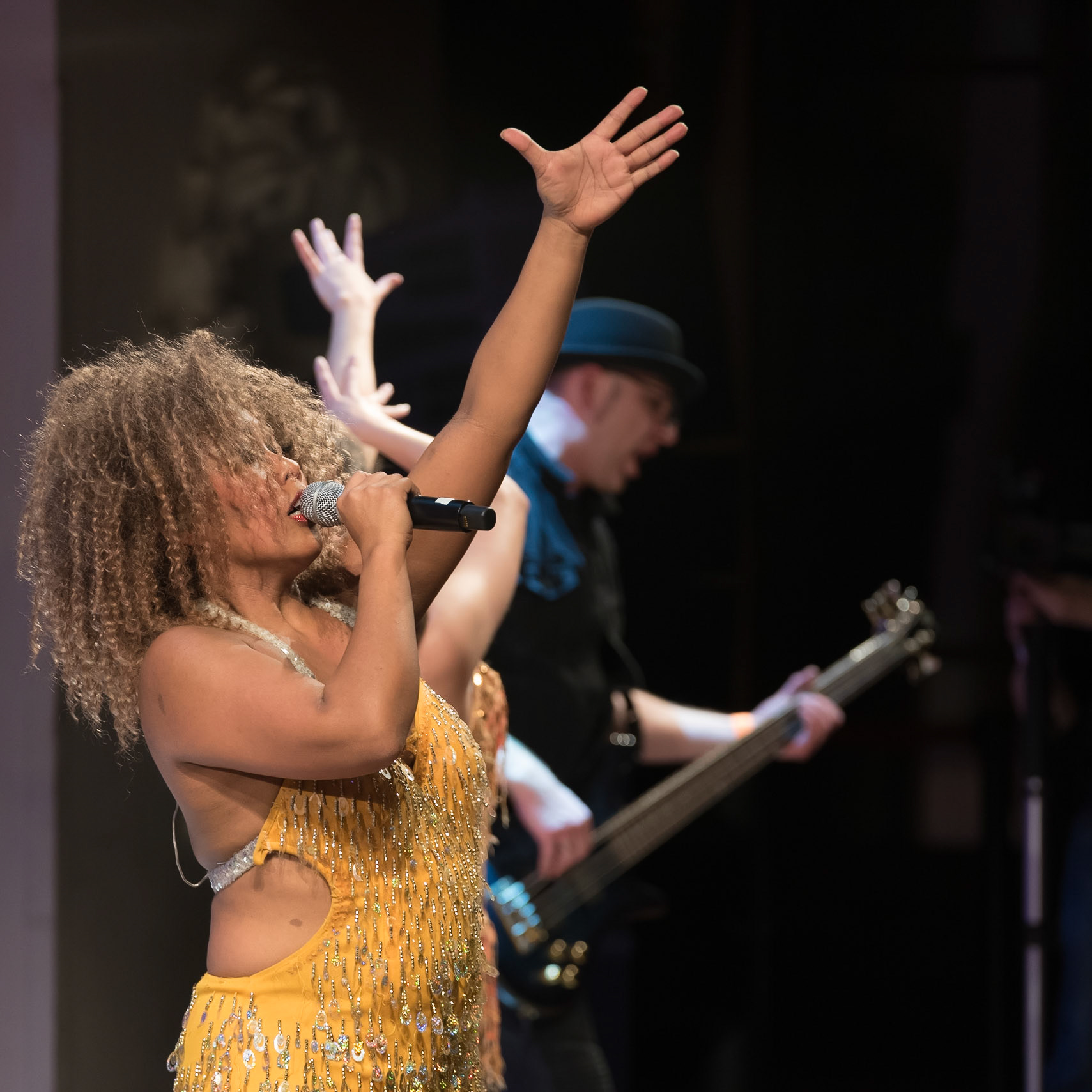 201901_Tina_Turner