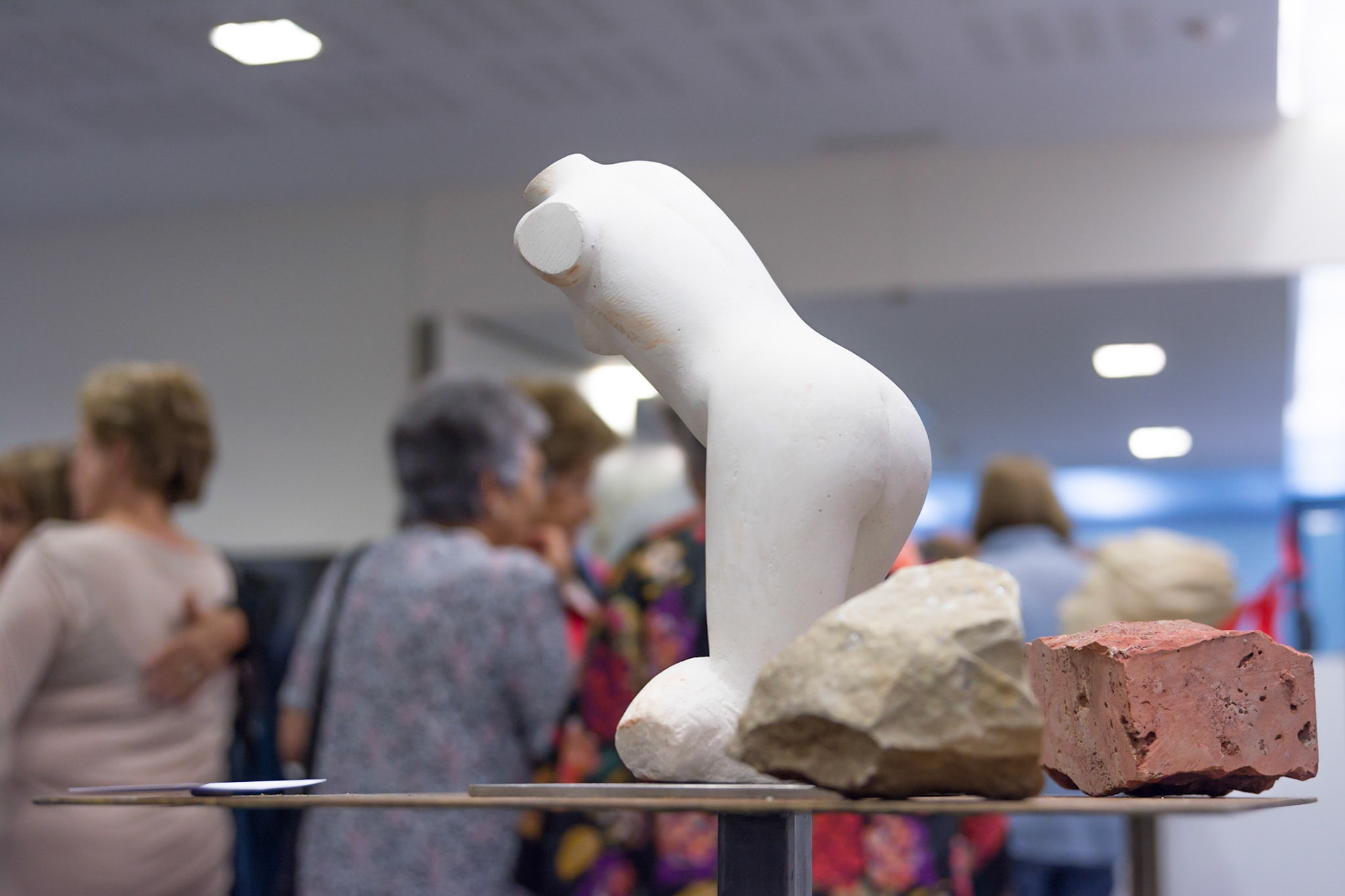 Escultors de Somnis 2017