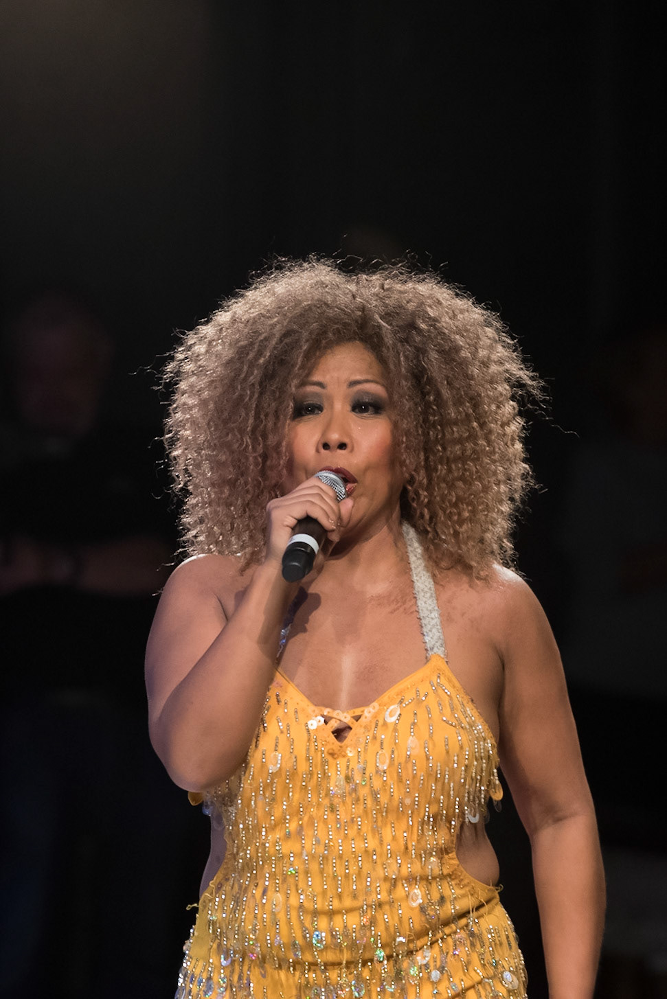 201901_Tina_Turner