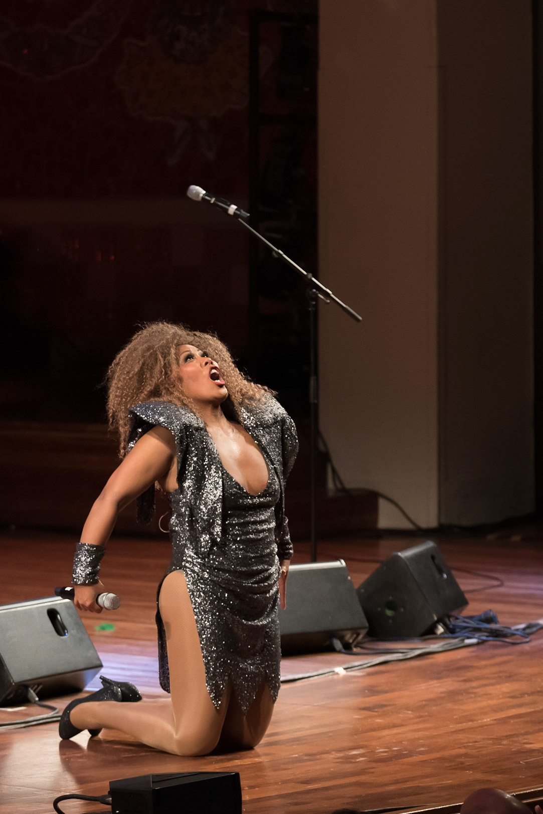 201901_Tina_Turner