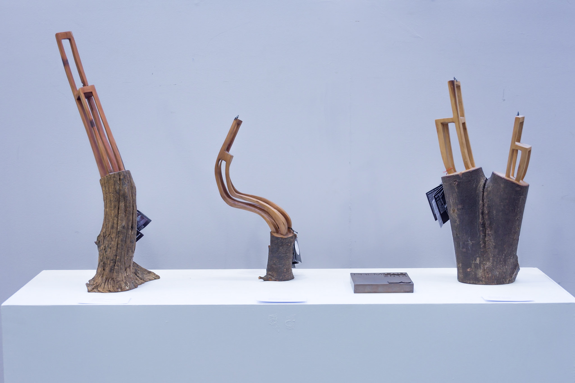 Escultors de Somnis 2017