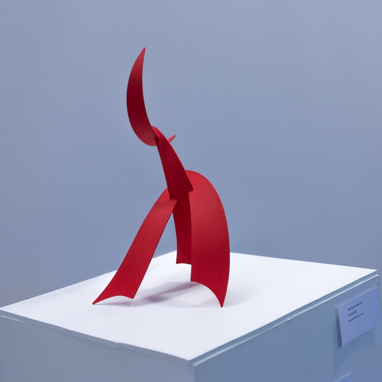 Escultors de Somnis 2017