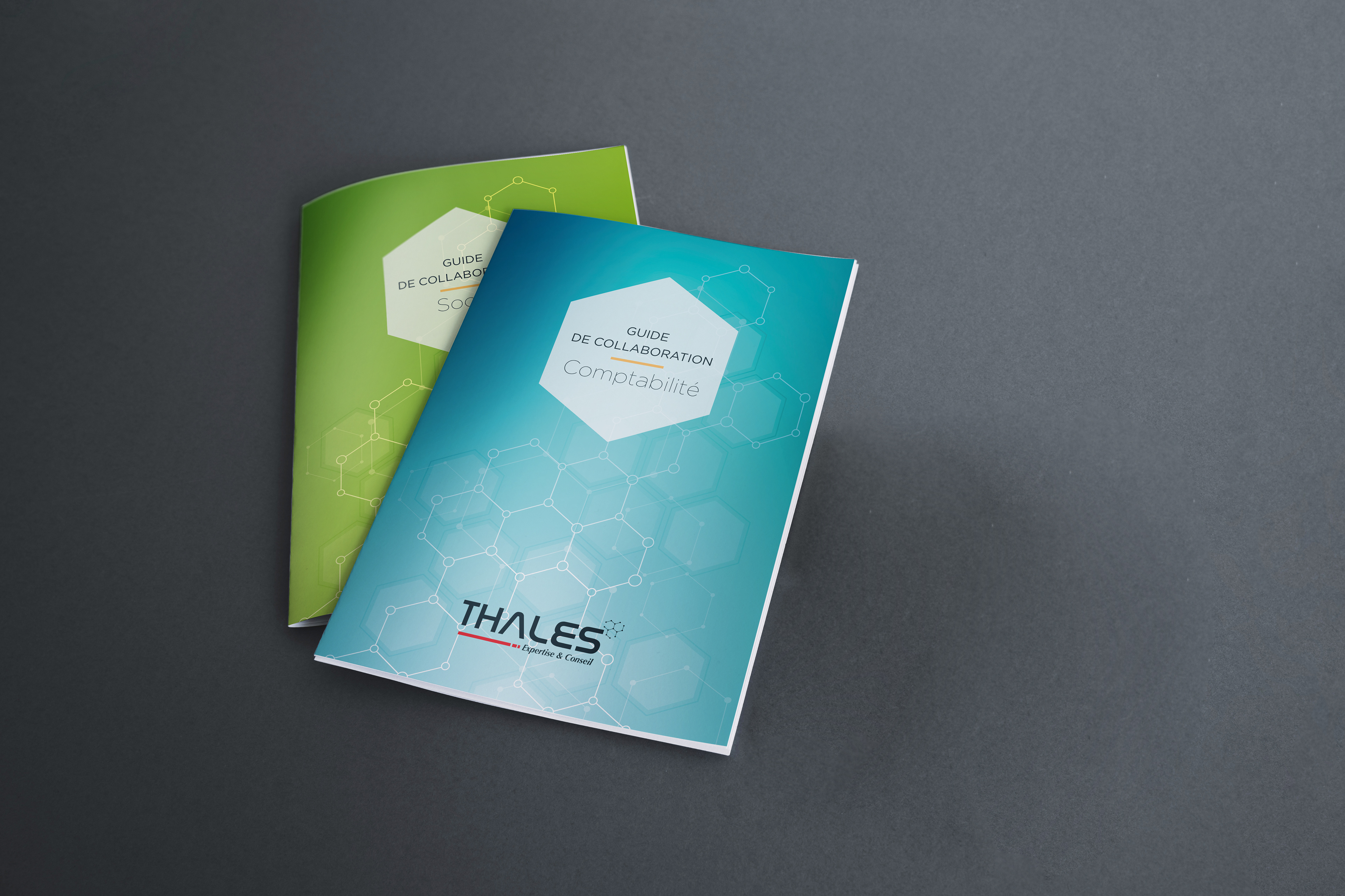 THALES • Experts comptables • Guides de collaboration