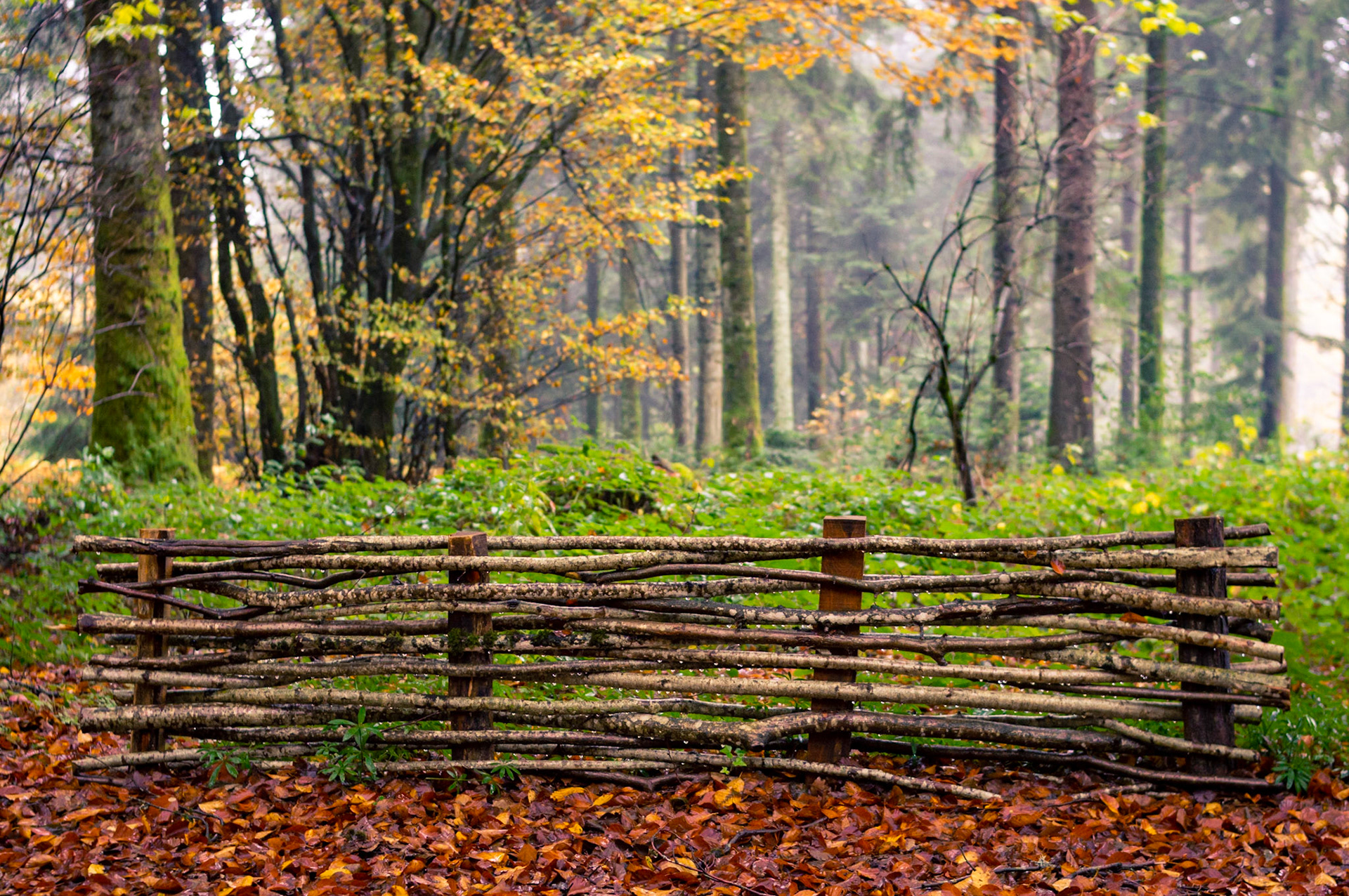Automne en Morvan