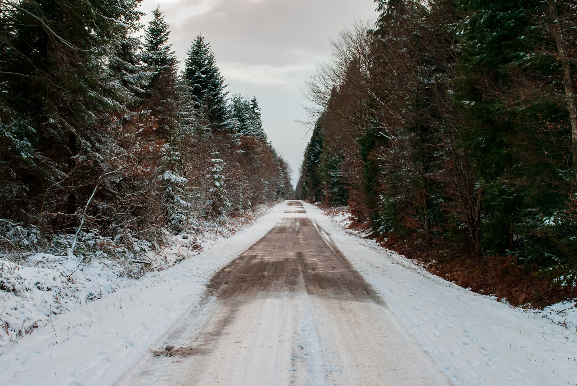 Droit dans l'hiver