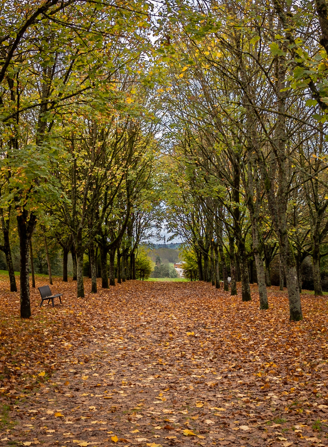 Douceur automnale