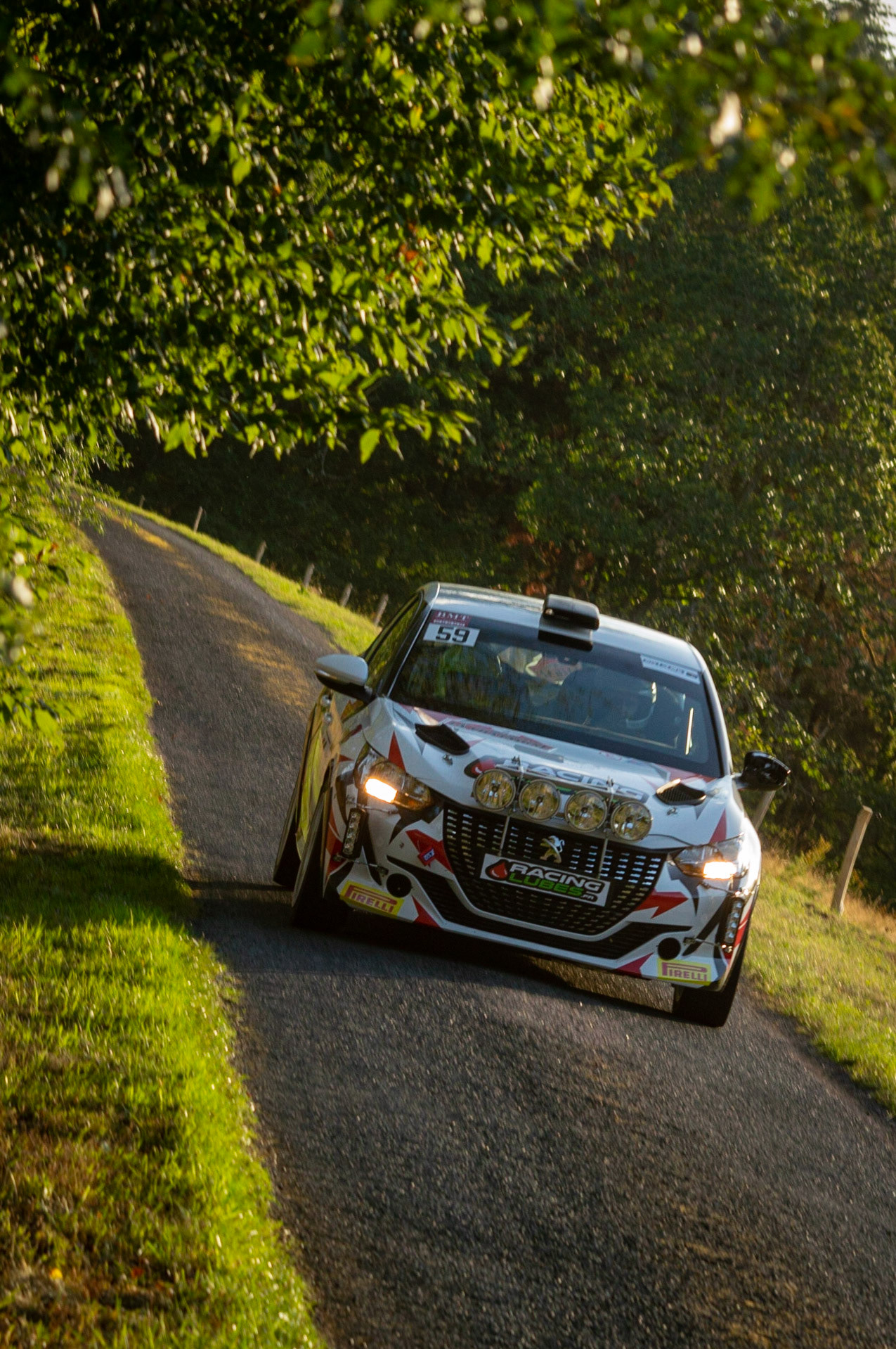 Peugeot 208 - Rallye Autun 2020
