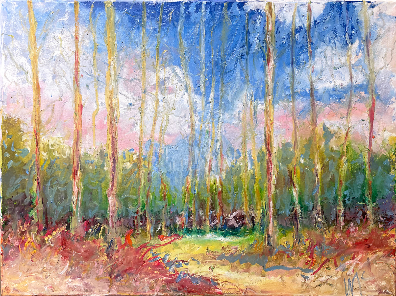 View From the Window