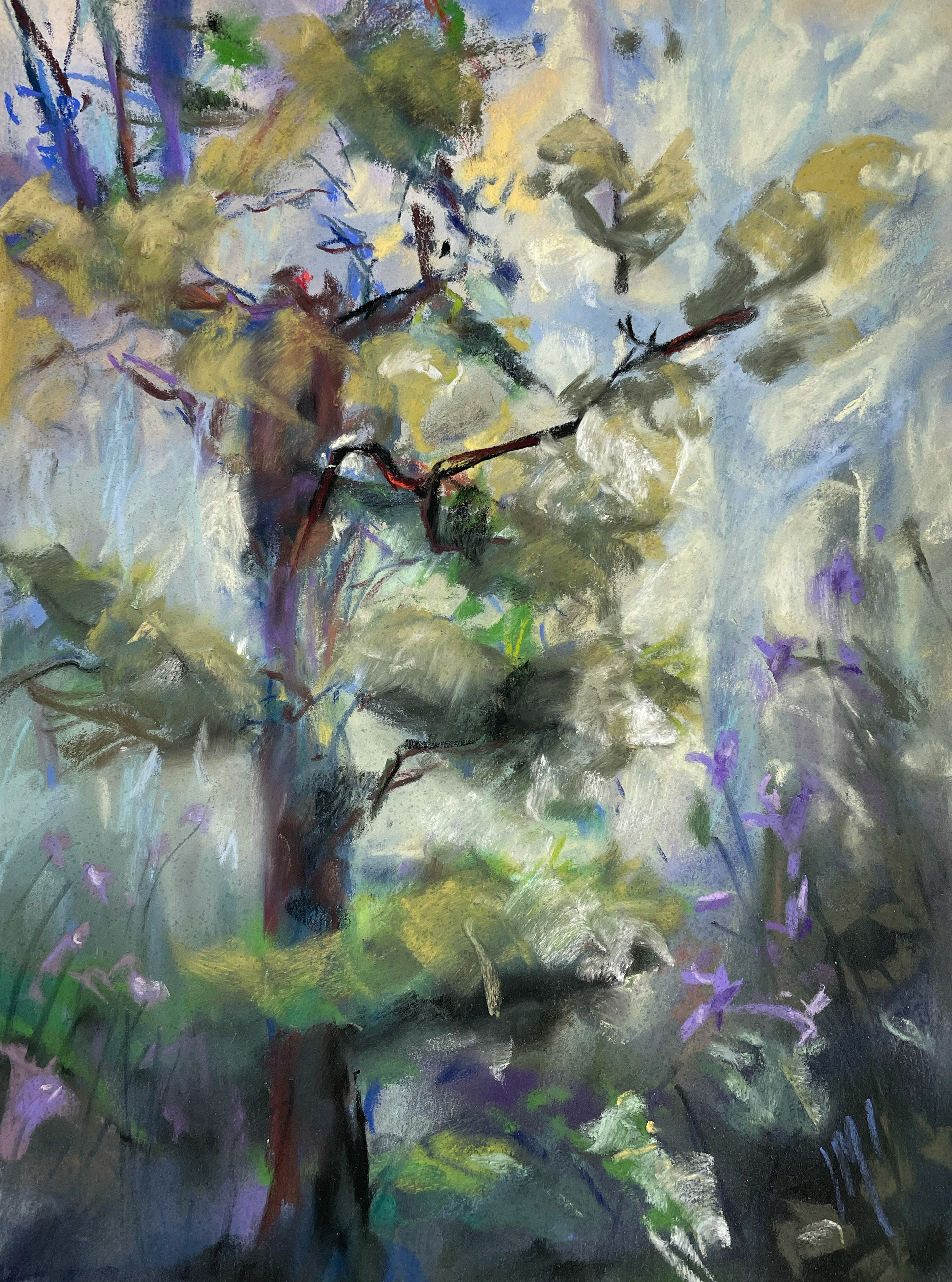 Deep InThe Forest, 9" x 12", pastel