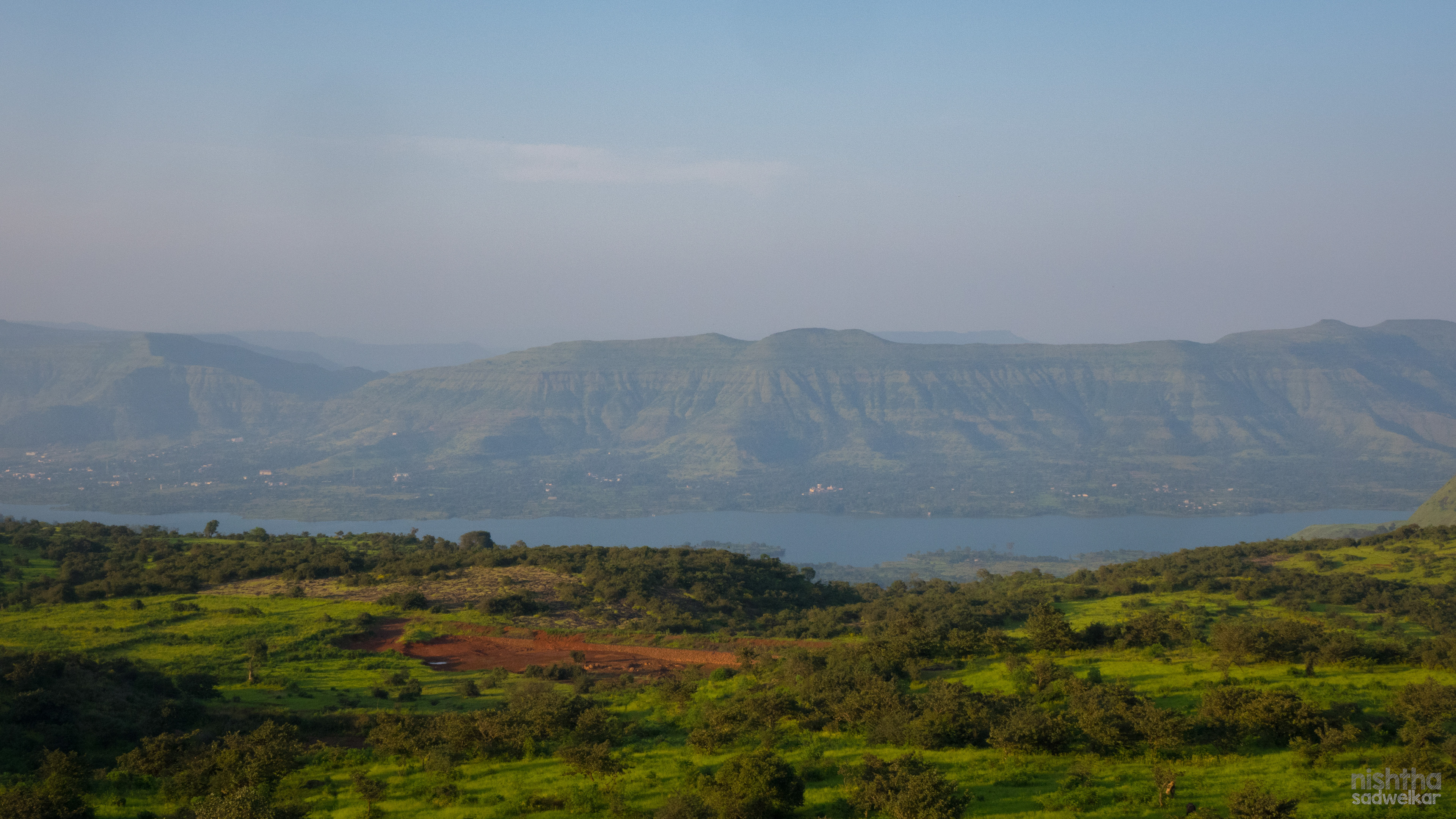 Kaas Plateau, Maharashtra, India