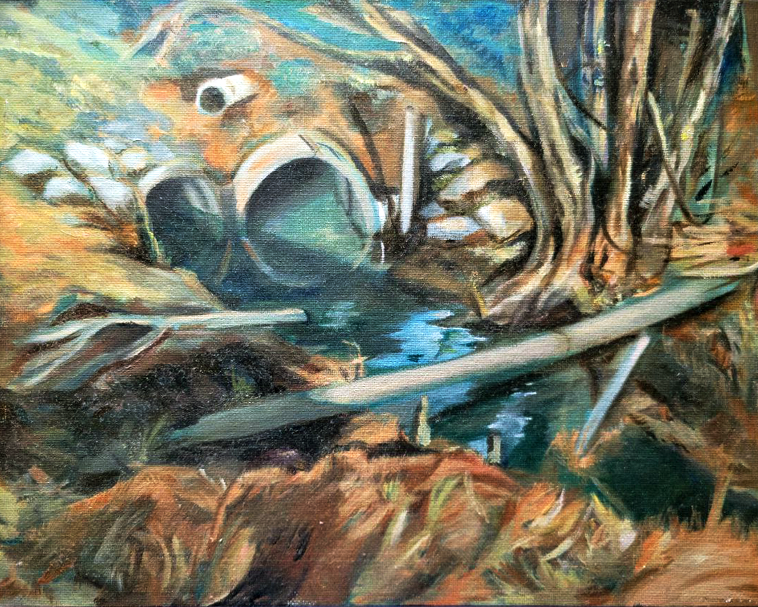The Wetlands
