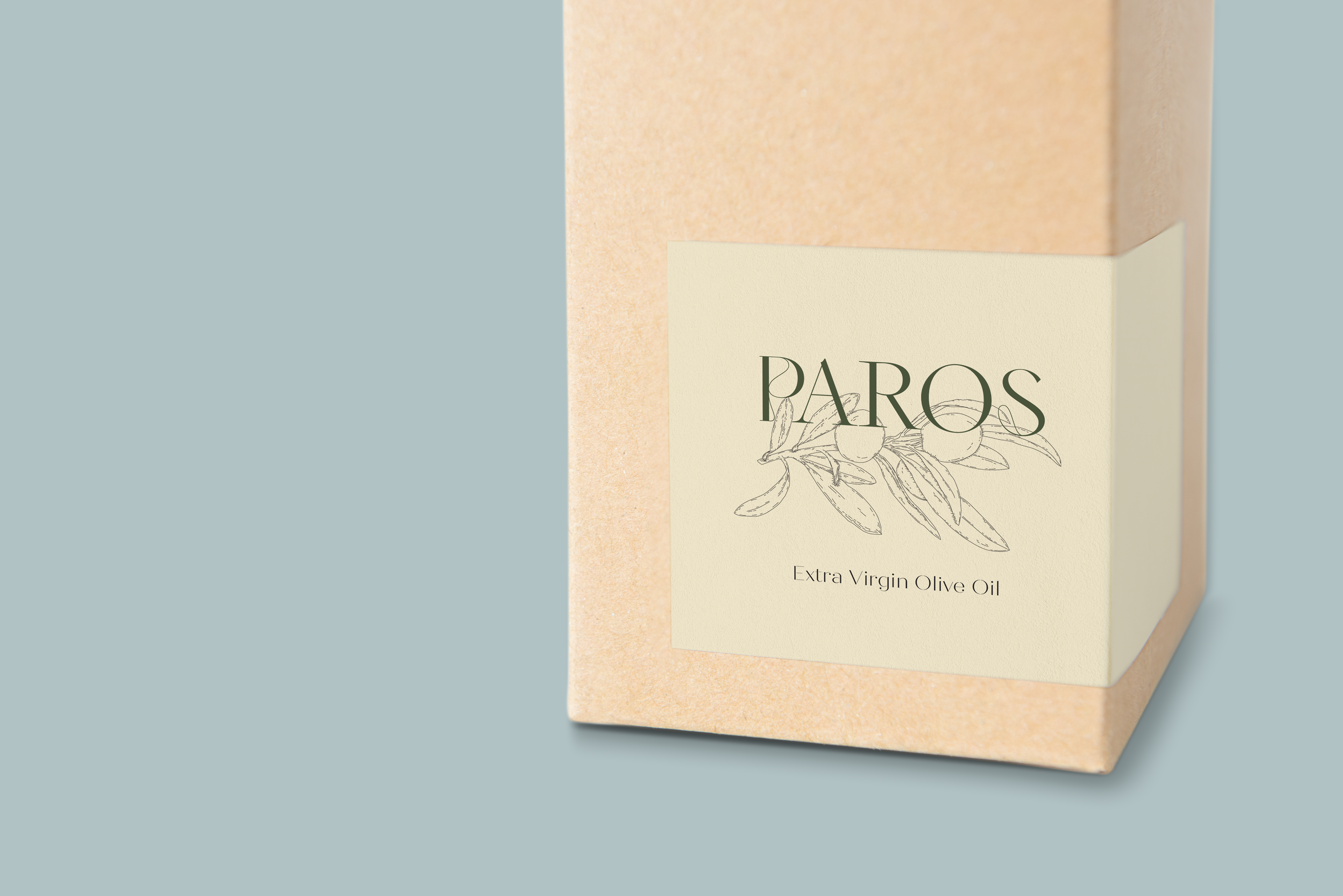 PAROS packaging mock-up