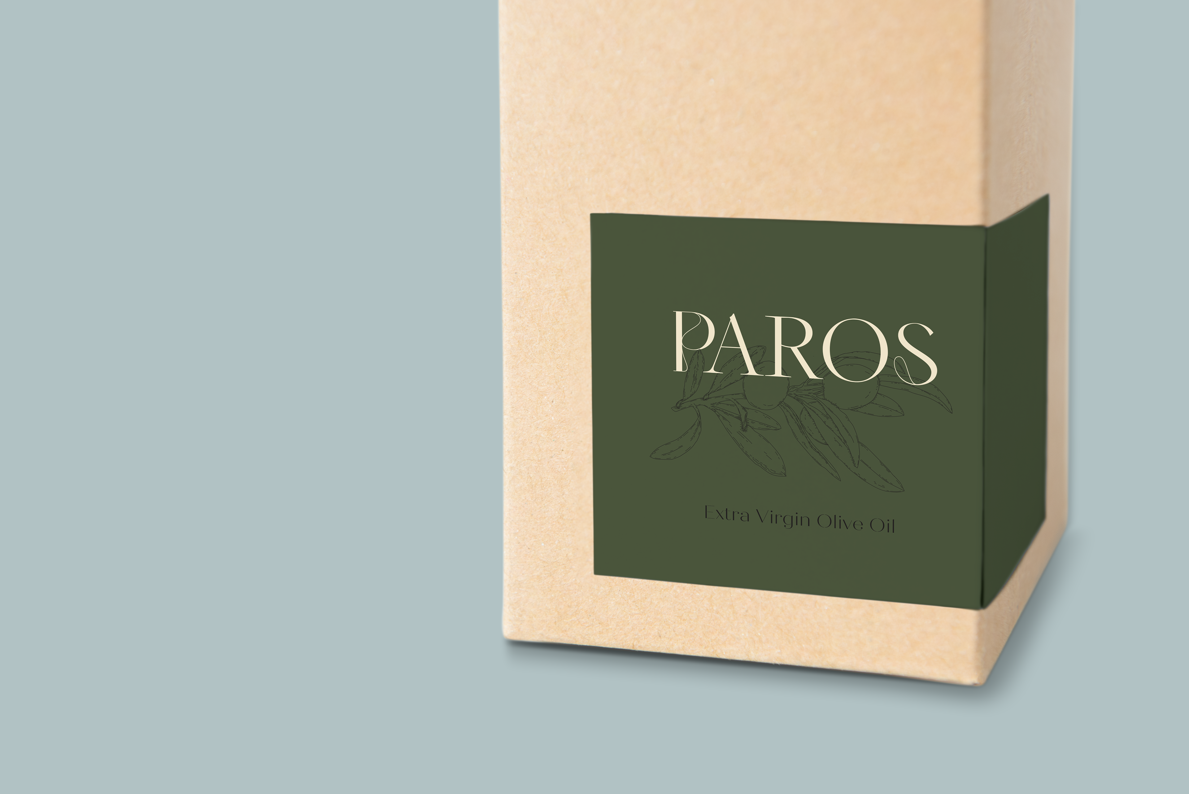 PAROS packaging mock-up