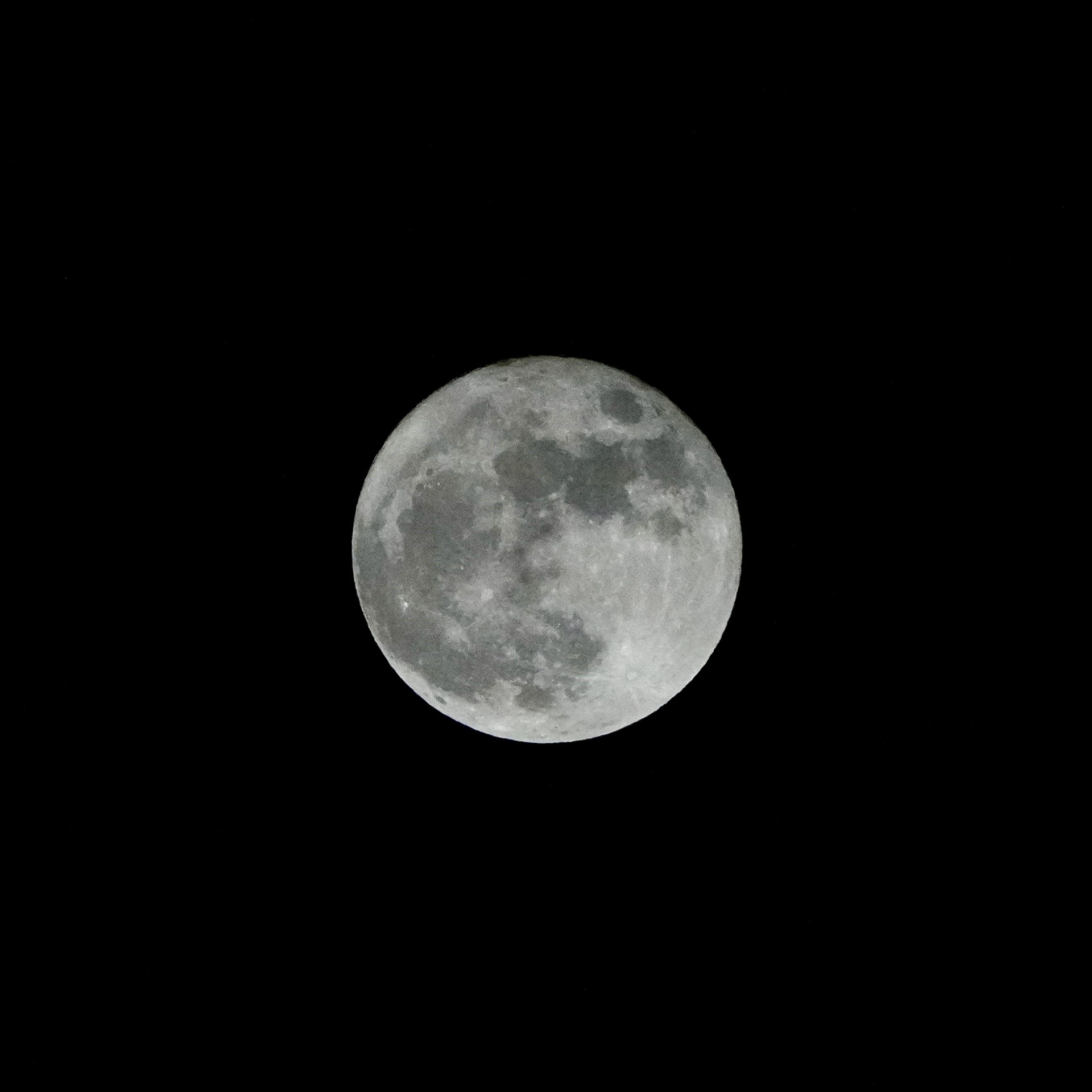 Home 5/1/2026