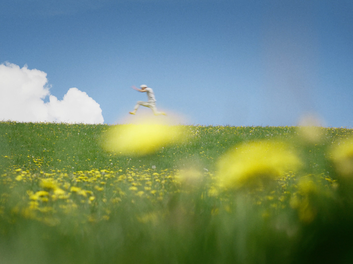 Early Summer