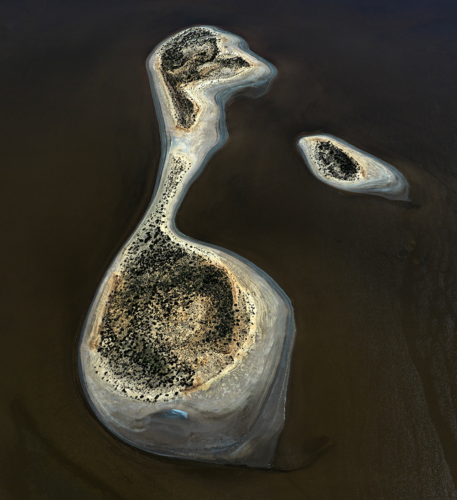 Emu and Egg