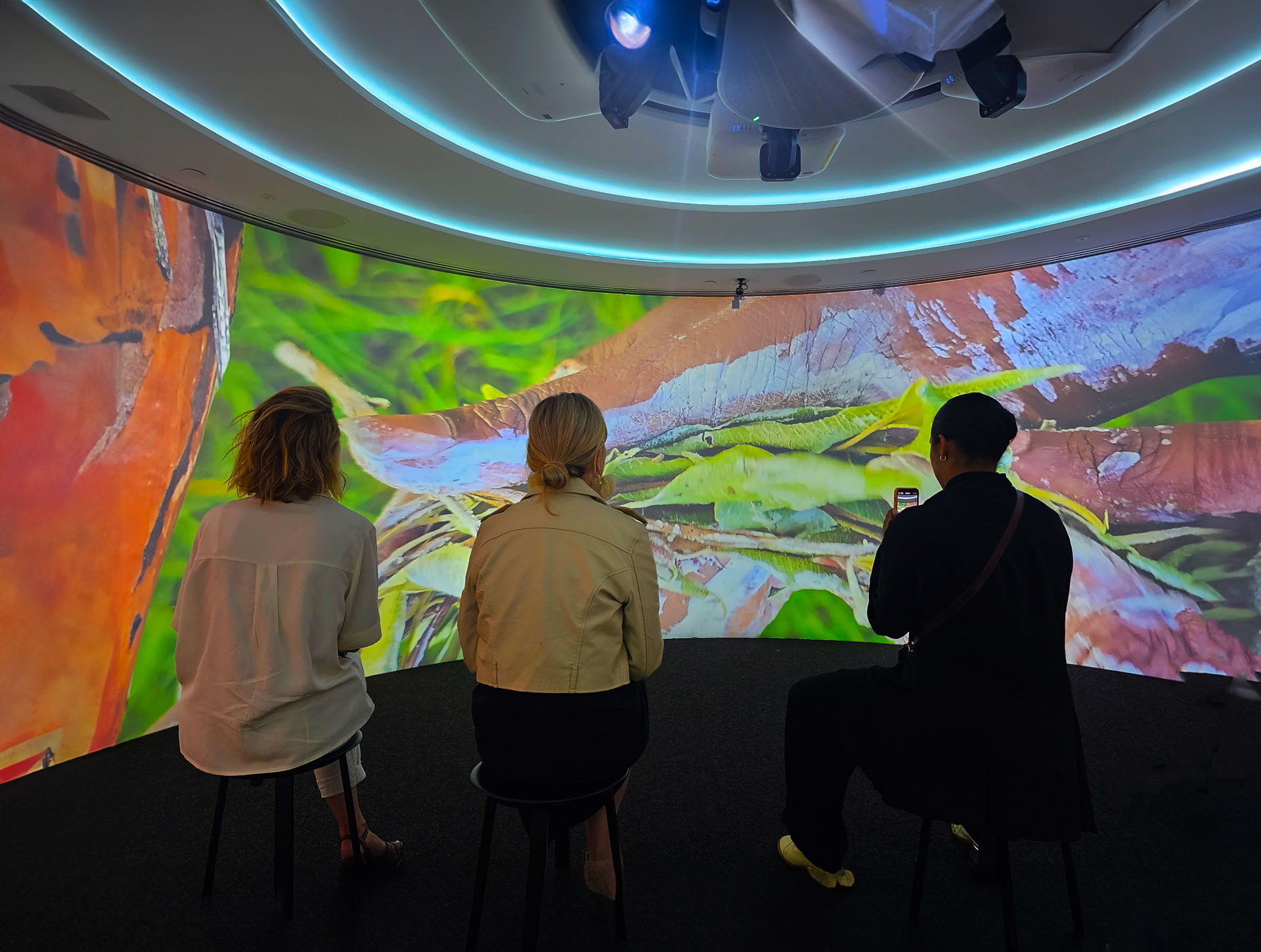 360 Deloitte