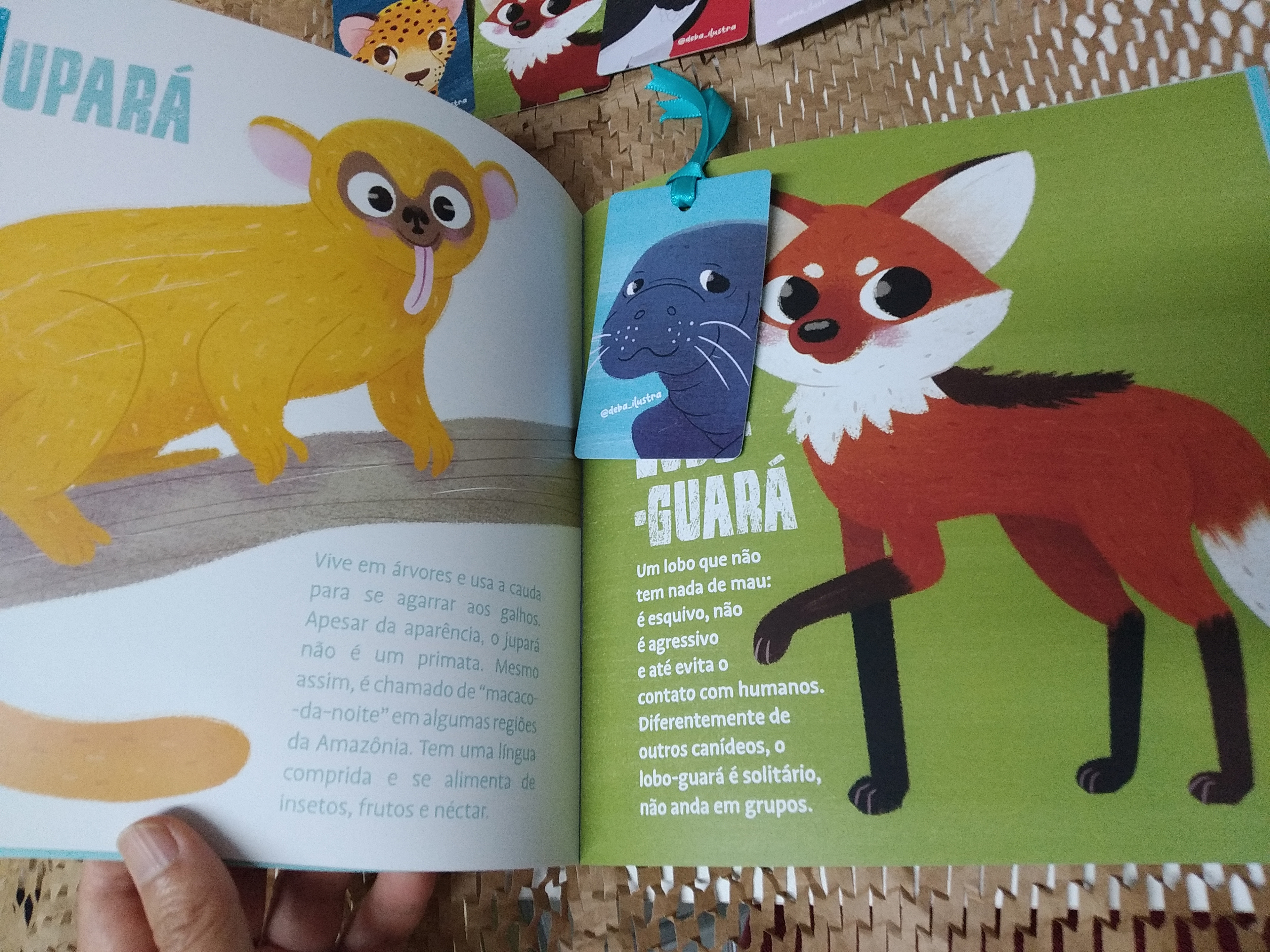 Livro ilustrado