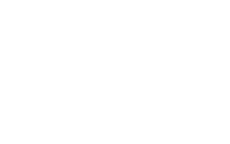 Nicole Annelyse Logo