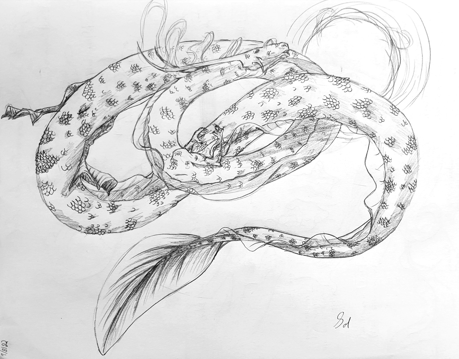 Paper sketch.
