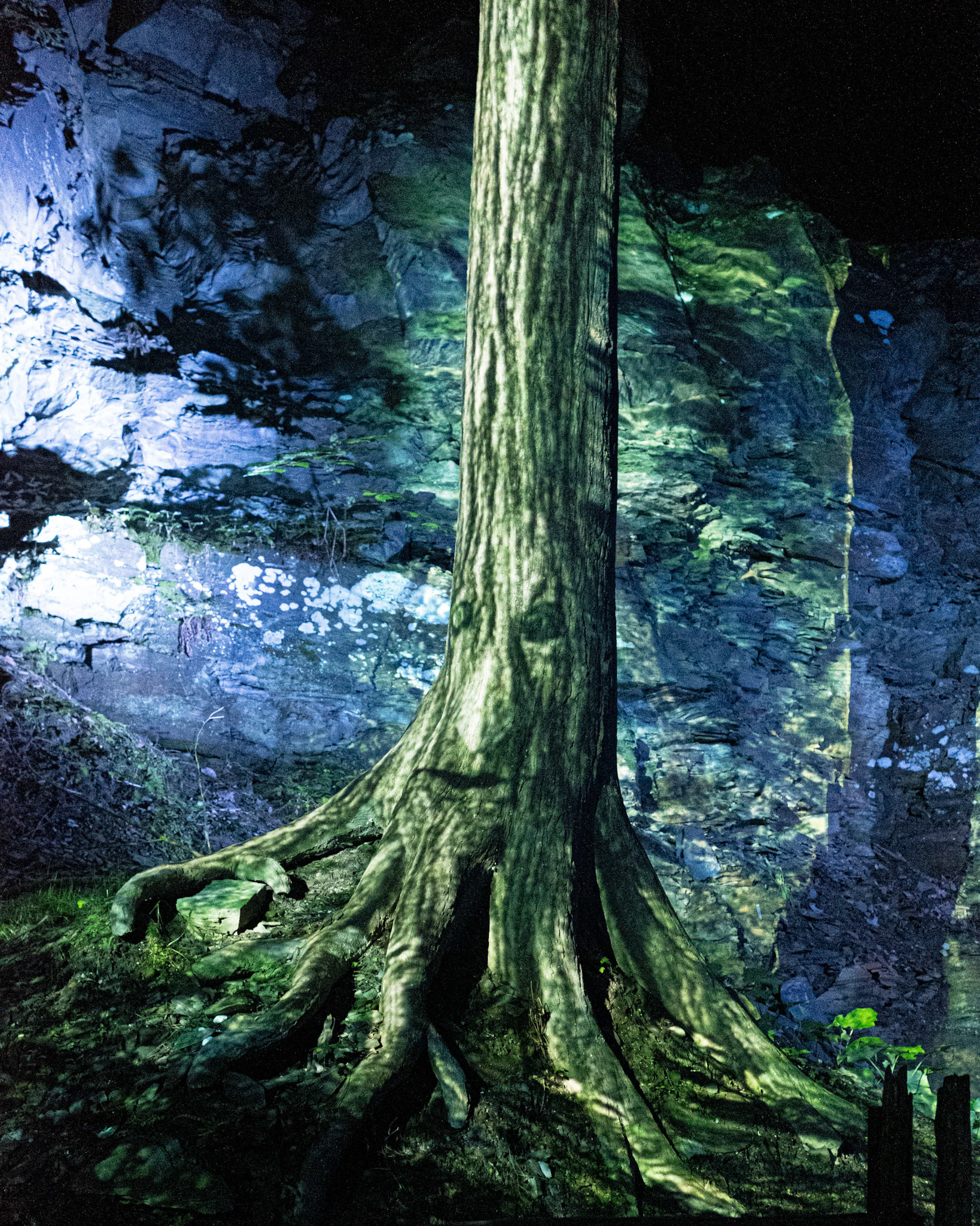 DSCF1586.jpg