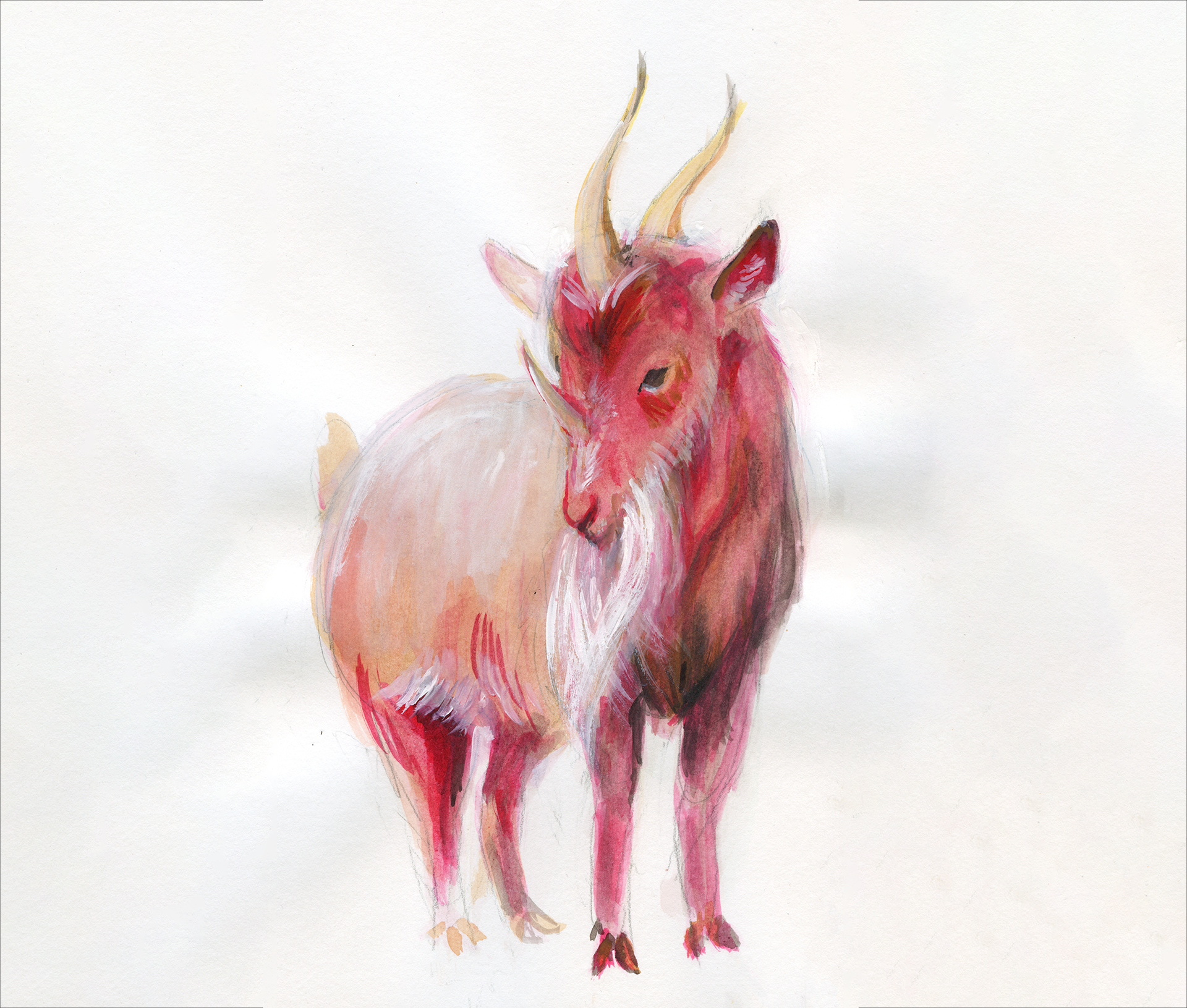 Fantasy illustration, gouche study