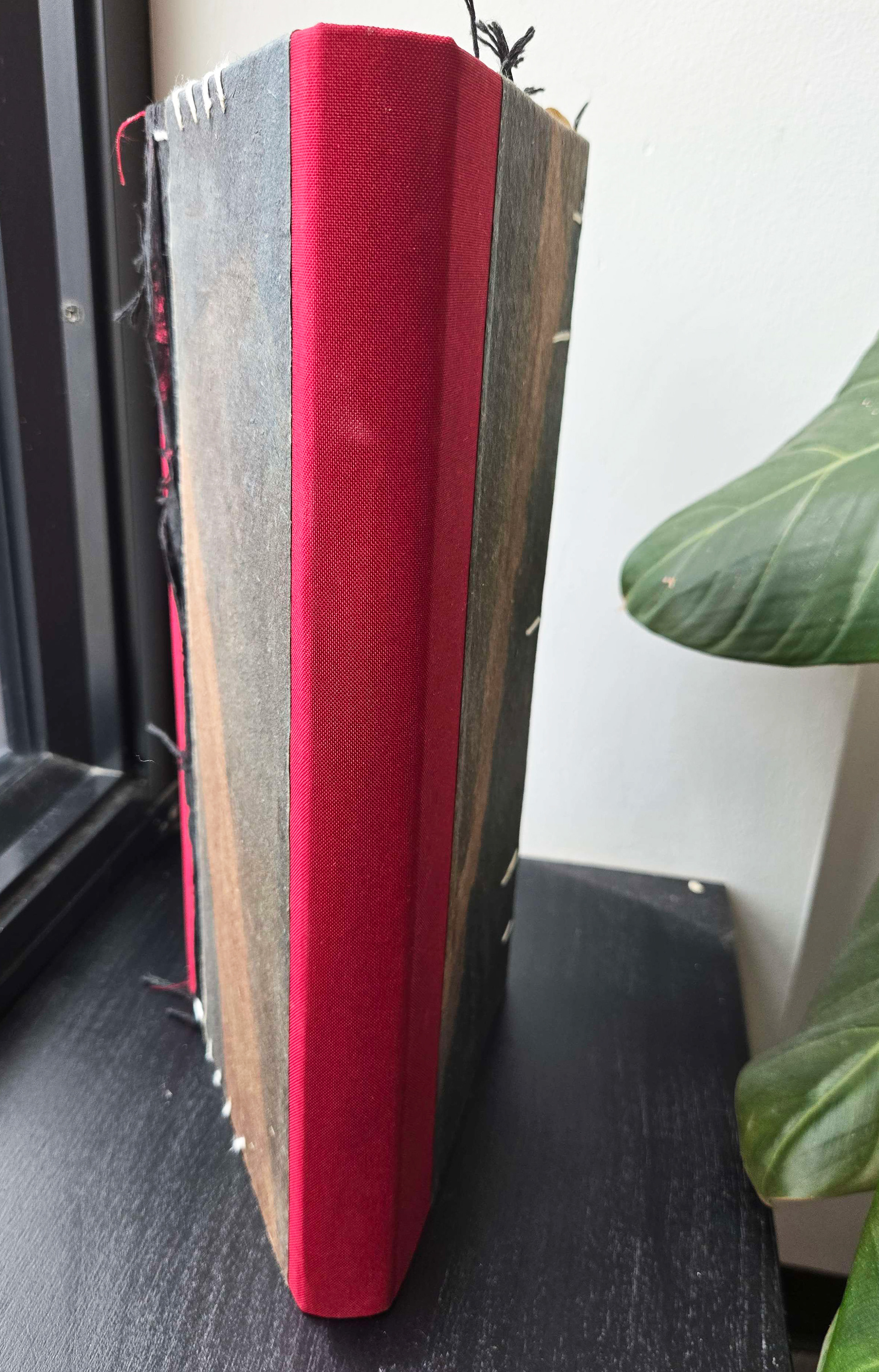 exterior spine