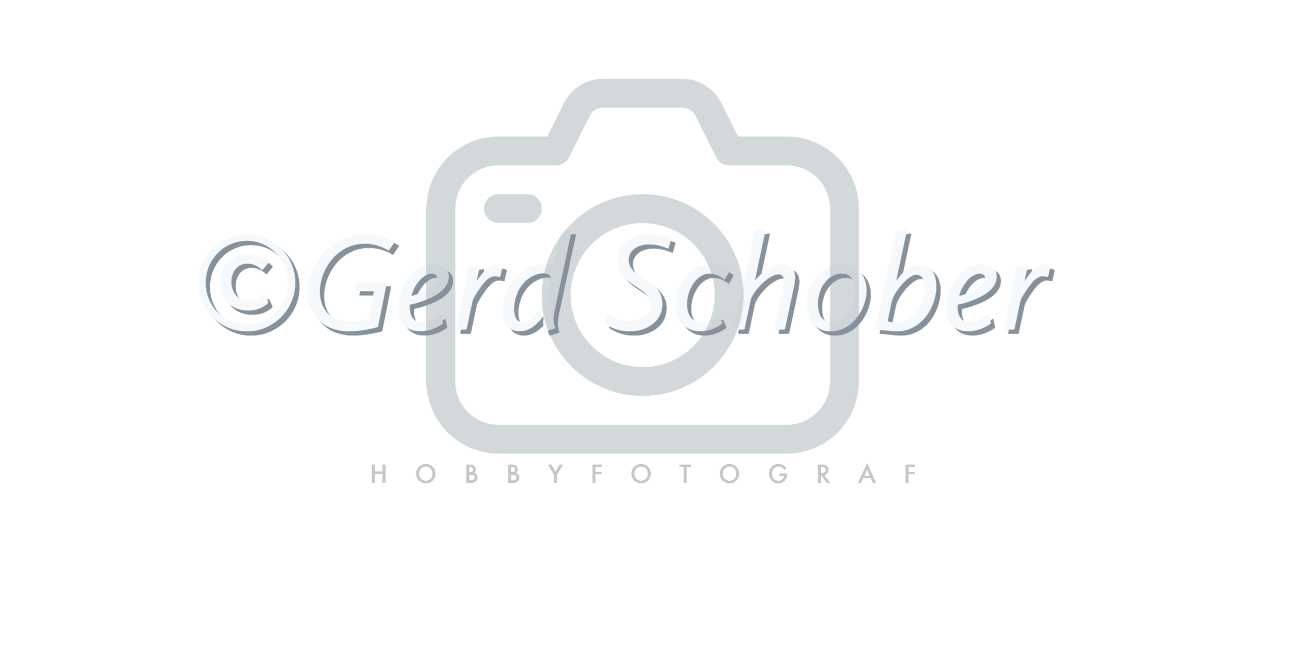 Gerd Schober
