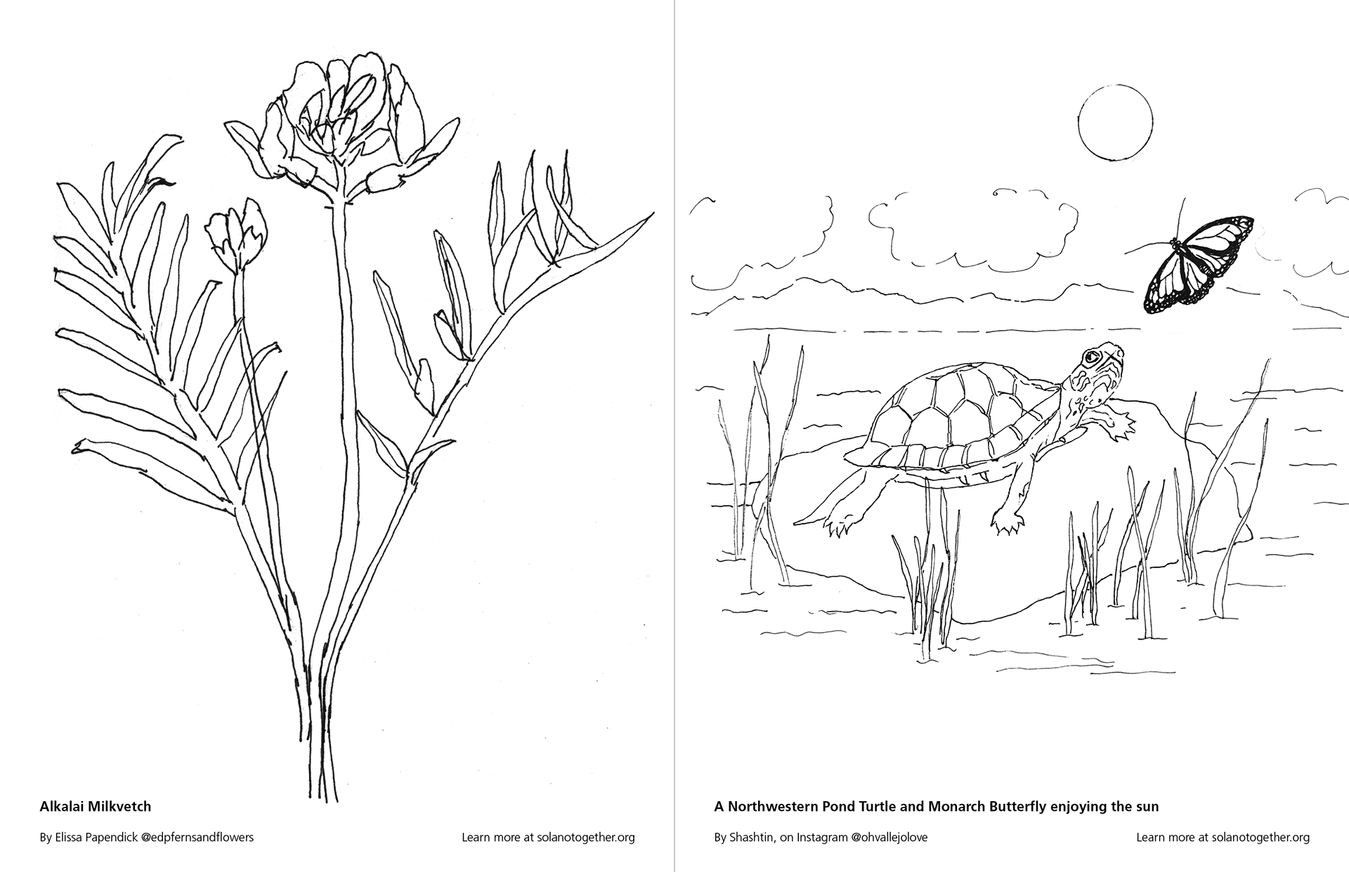 Left by Elissa Papendick and right by Kerstin Svendsen