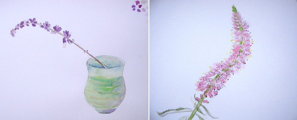 Watercolor of a wooly blue curl in a vase and the spear of a heather plant