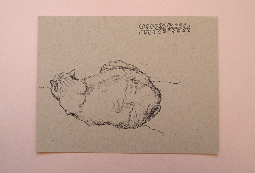 Drawing of Pinky sleeping