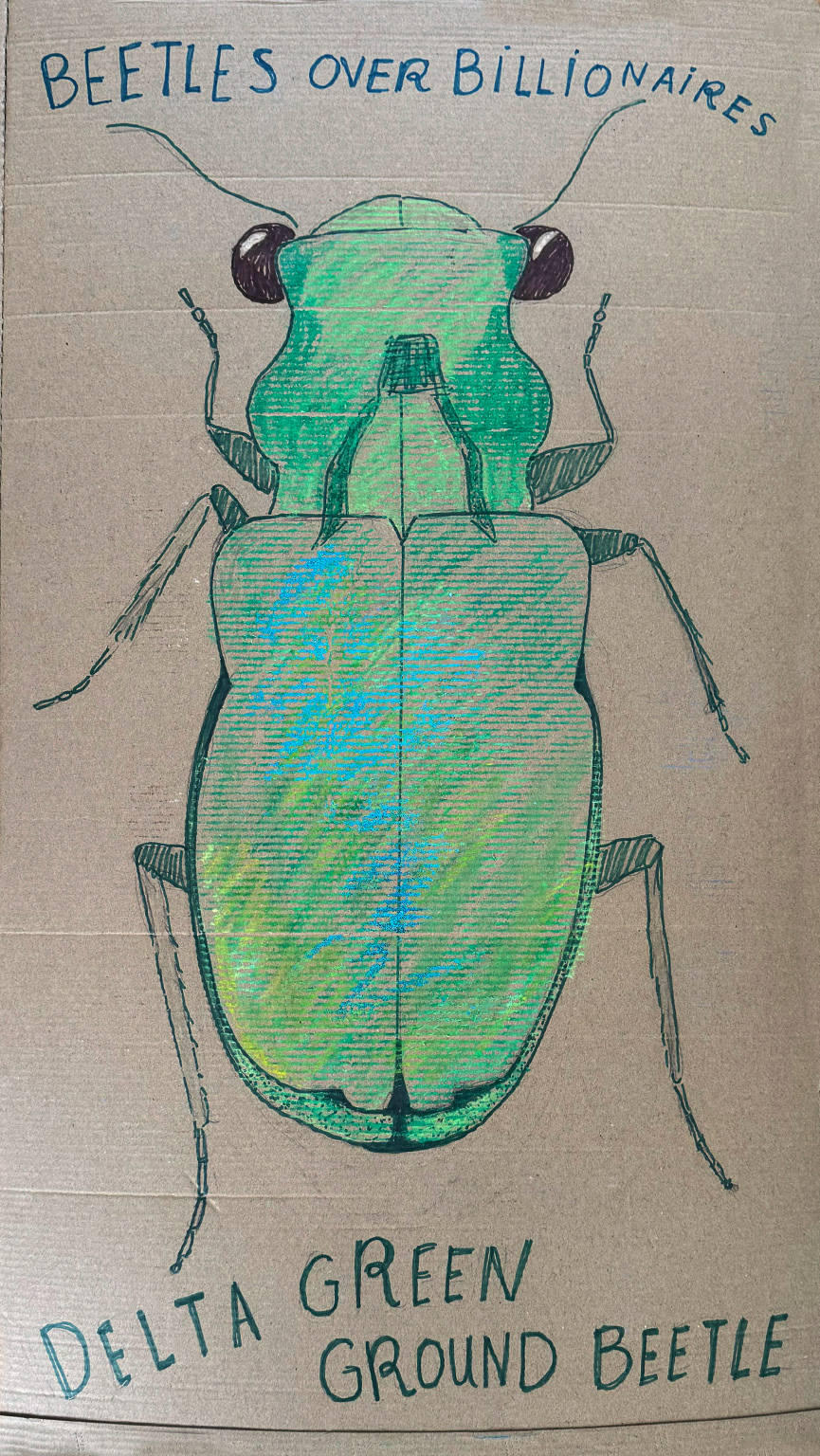 Delta Green Ground Beetle