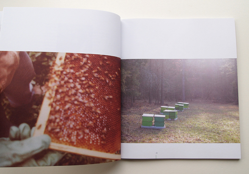 Spread showing a frame of bees and bee boxes in field