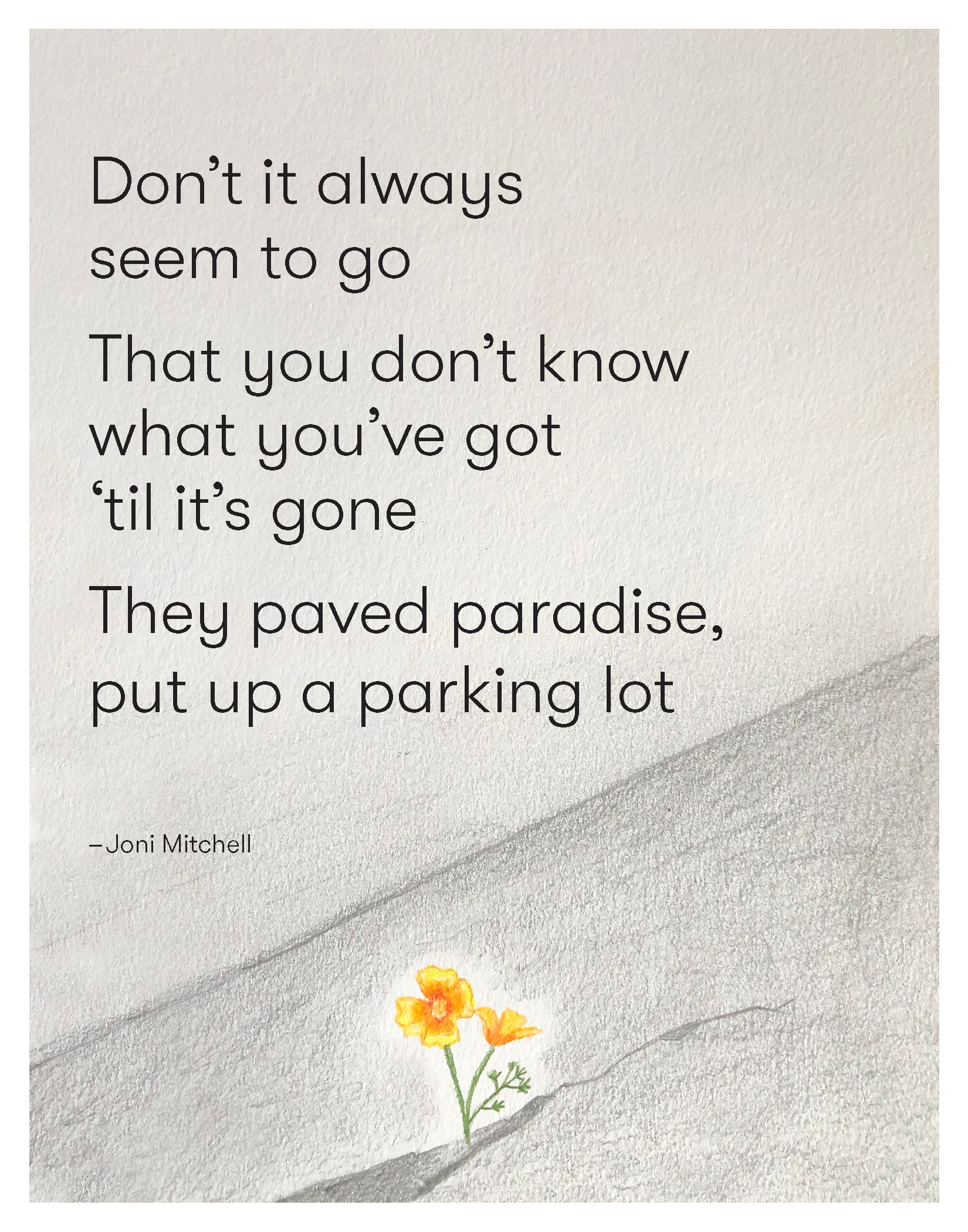 Cover of zine has a Joni Mitchell song quote: Don't it always seem to go That you don't know what you've got til it's gone They paved paradise, put up a parking lot. The drawing is a grey background with California poppies pokies through pavement.