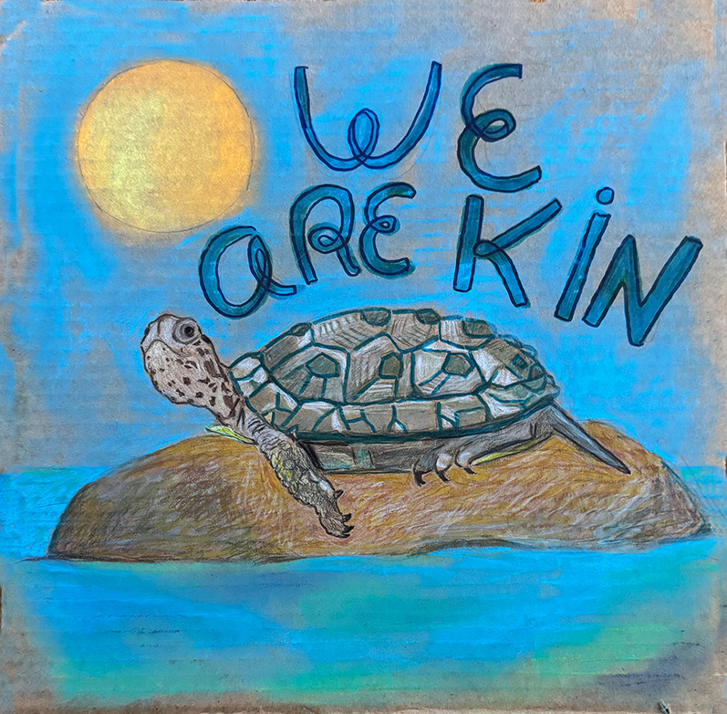 Northwestern Pond Turtle 