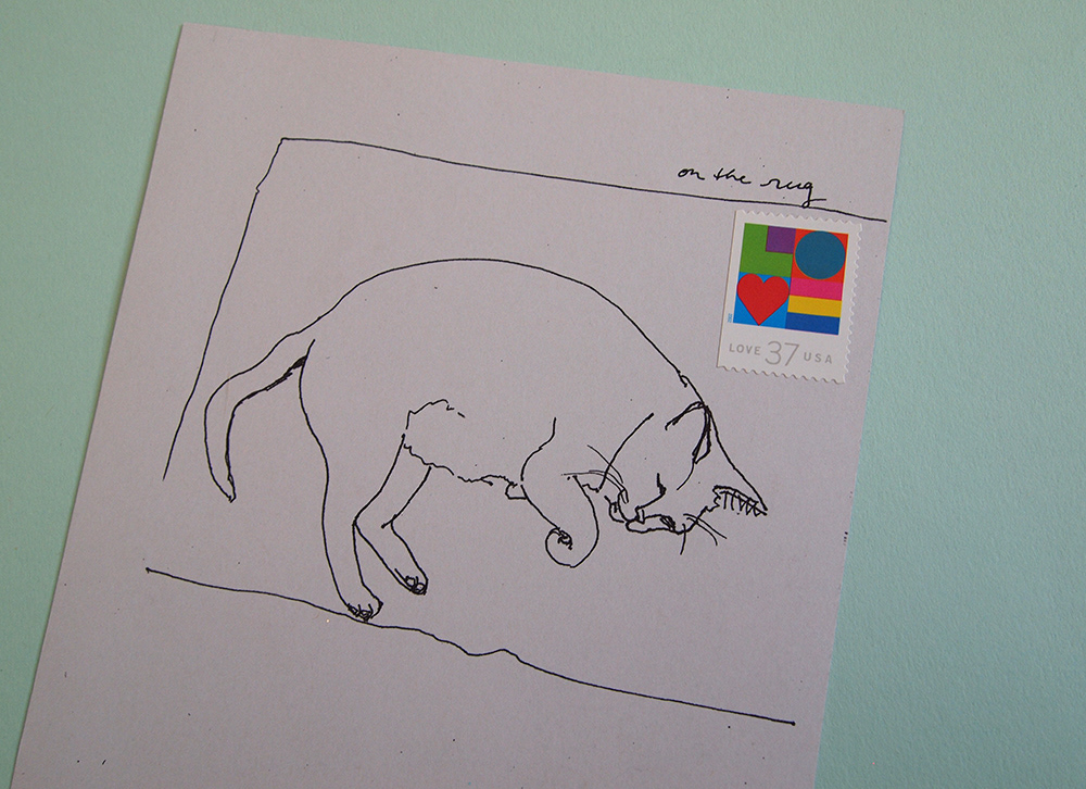 Back side of a card with a contour drawing of Pinky.
