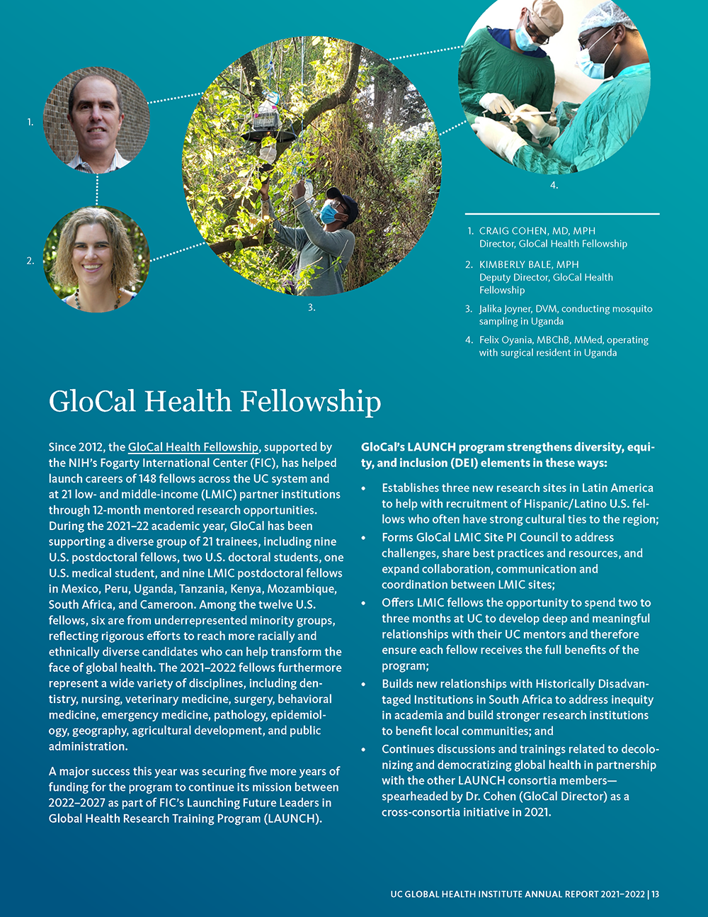 About the GloCal Health Fellowship